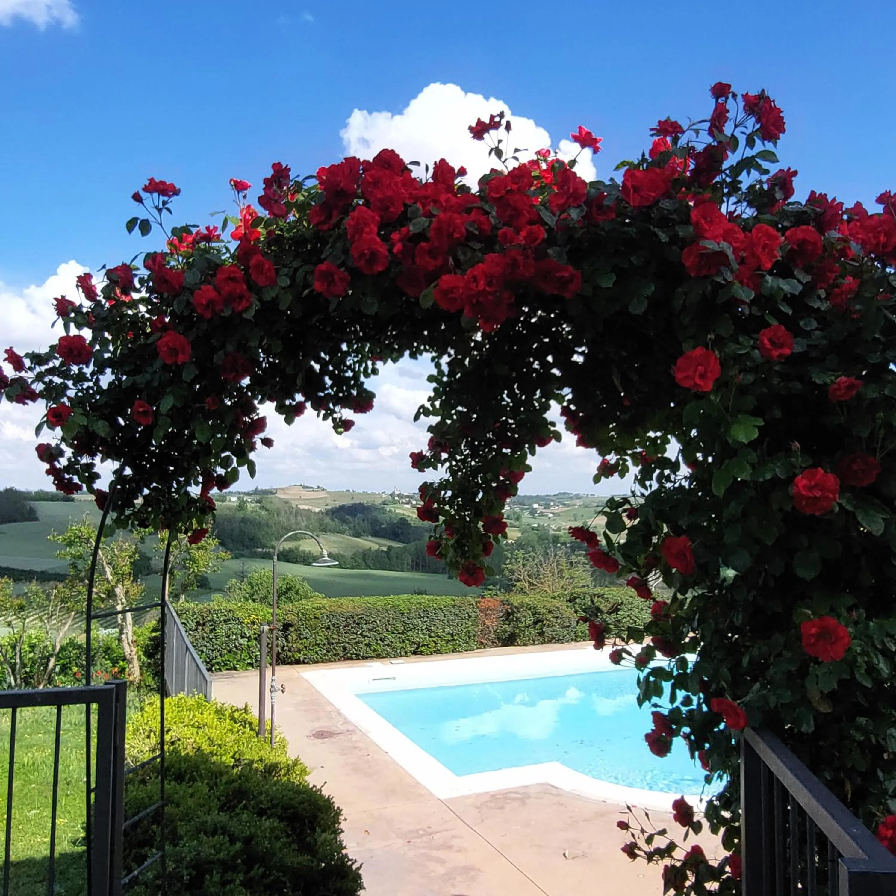 Swimming pool in Casa Rovelli