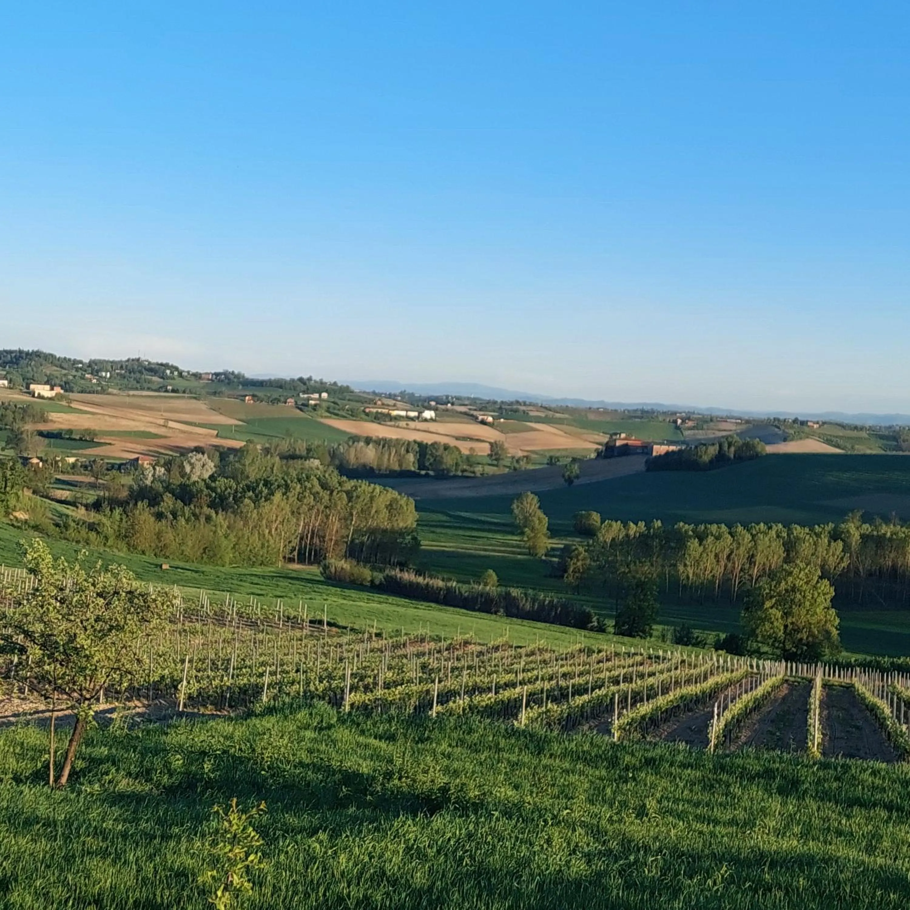 View (from property/room) in Casa Rovelli