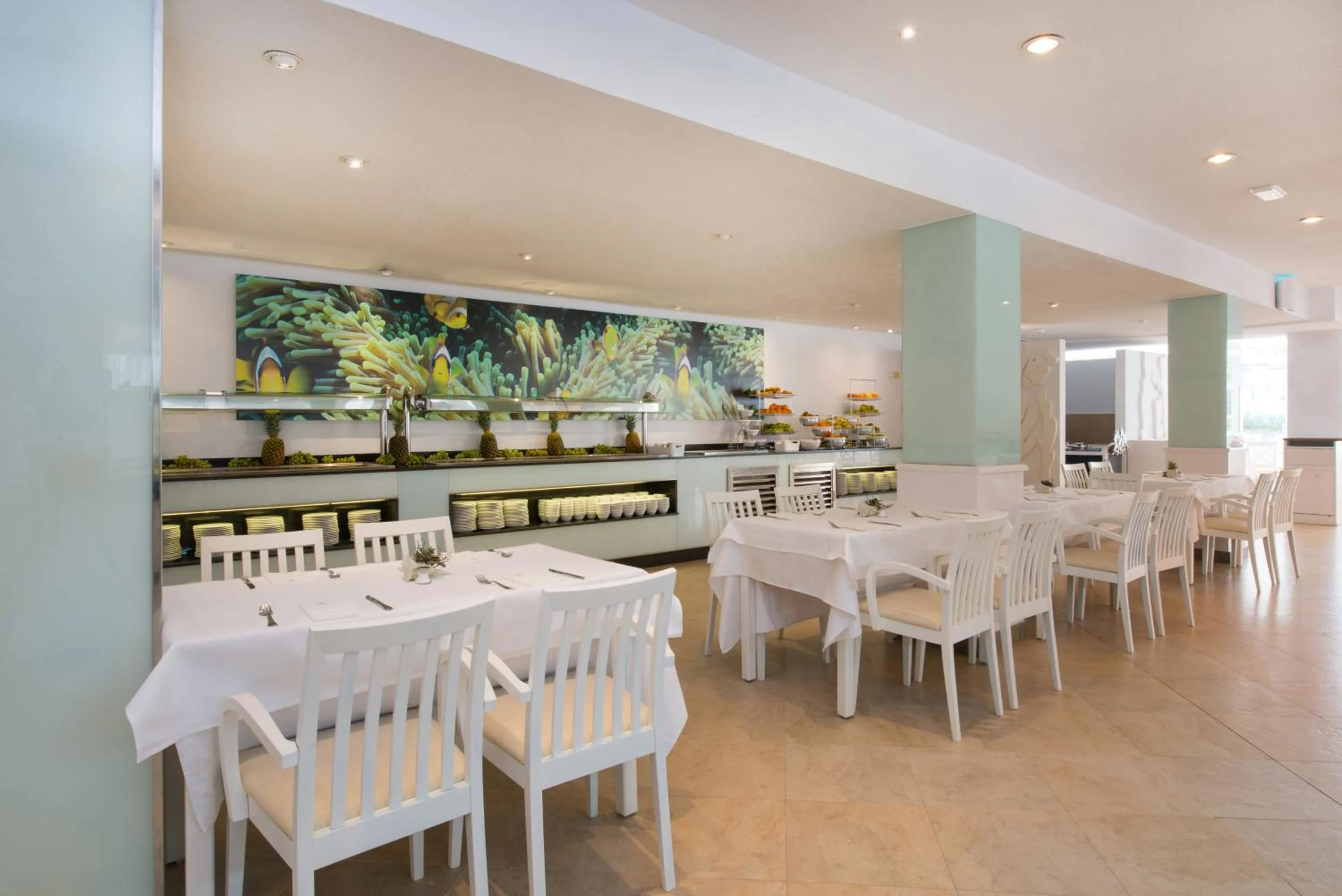 Restaurant/places to eat in Iberostar Waves Ciudad Blanca