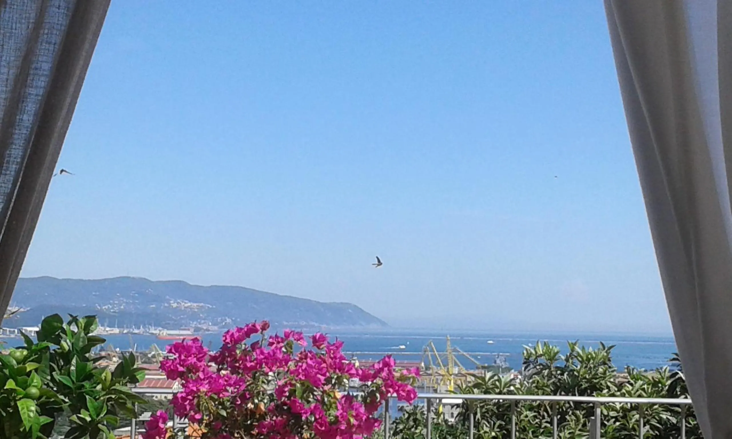 Balcony/Terrace in Dreams Guest House