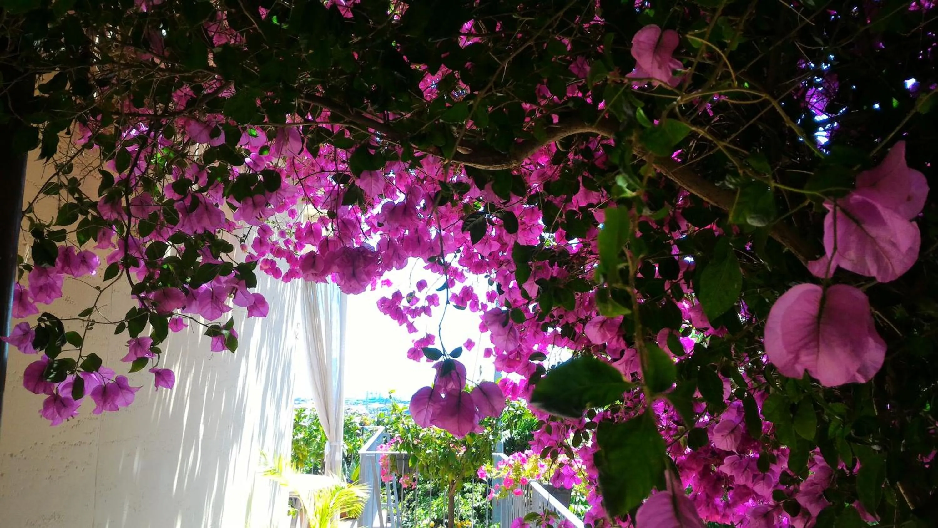 Decorative detail in Dreams Guest House