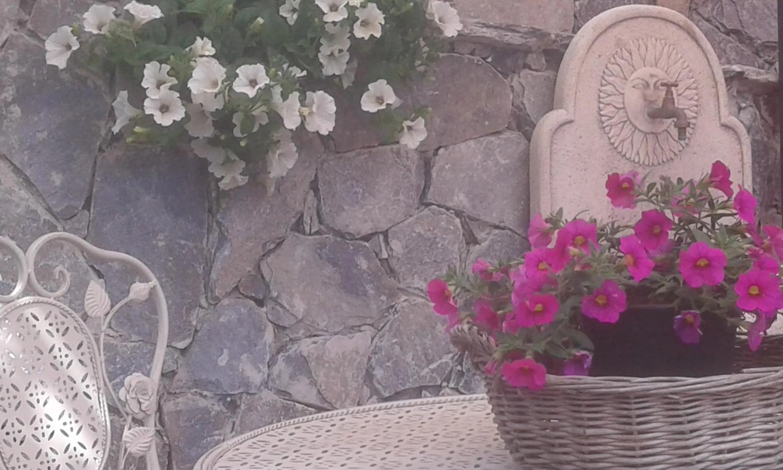 Garden in Dreams Guest House