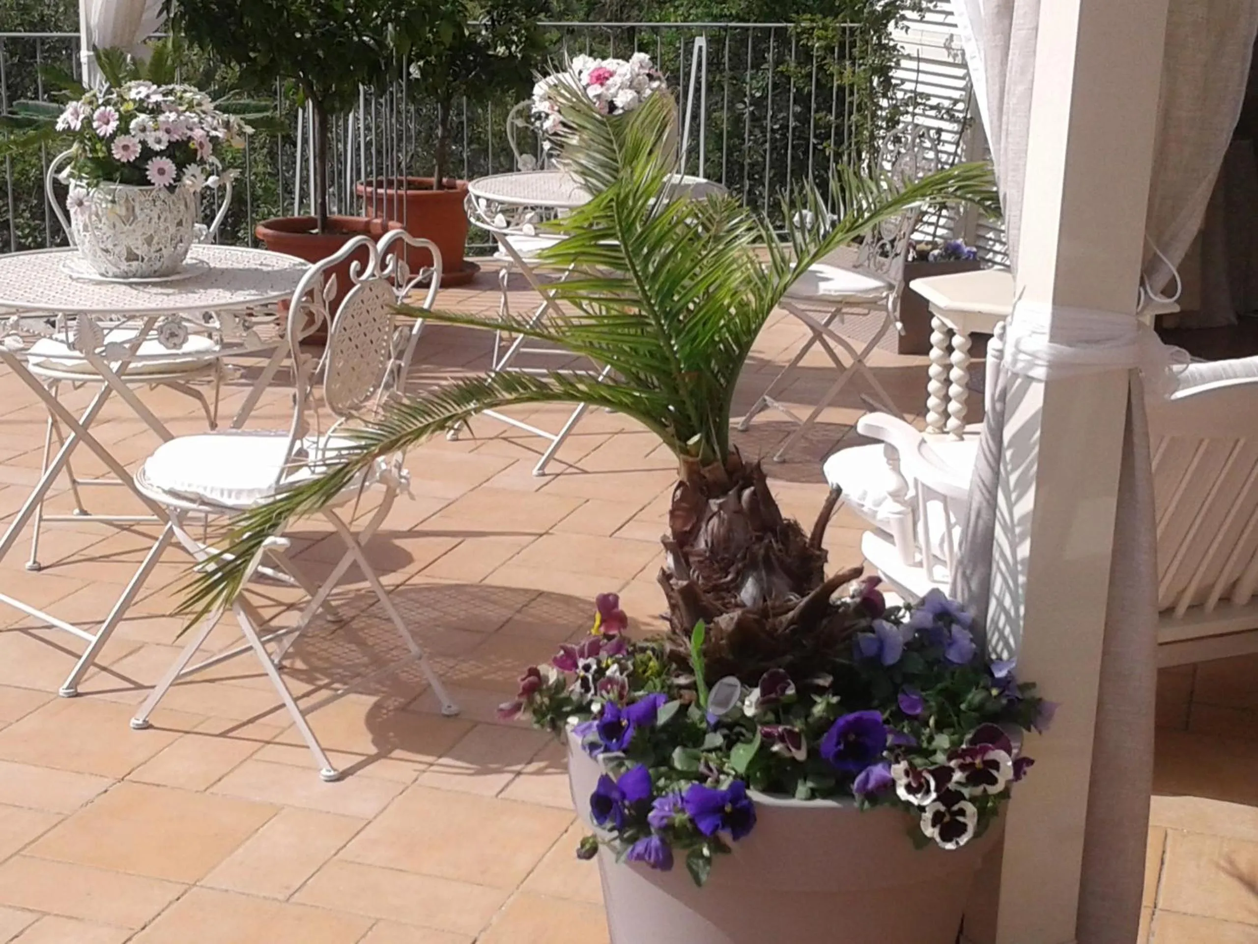 Balcony/Terrace in Dreams Guest House