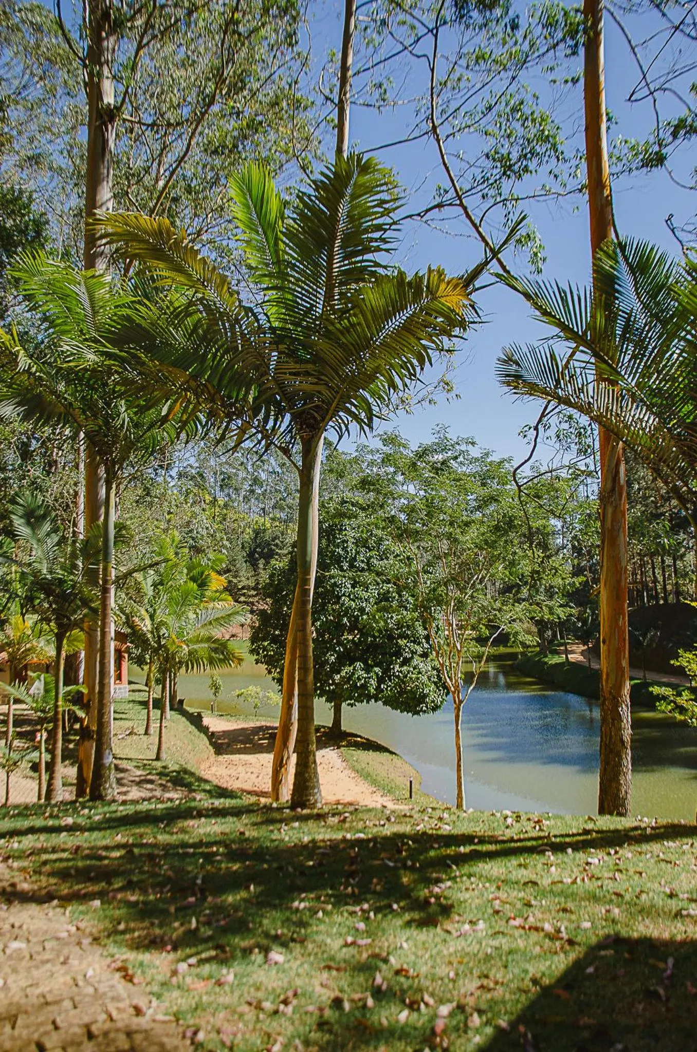 Garden in Sítio dos Lagos
