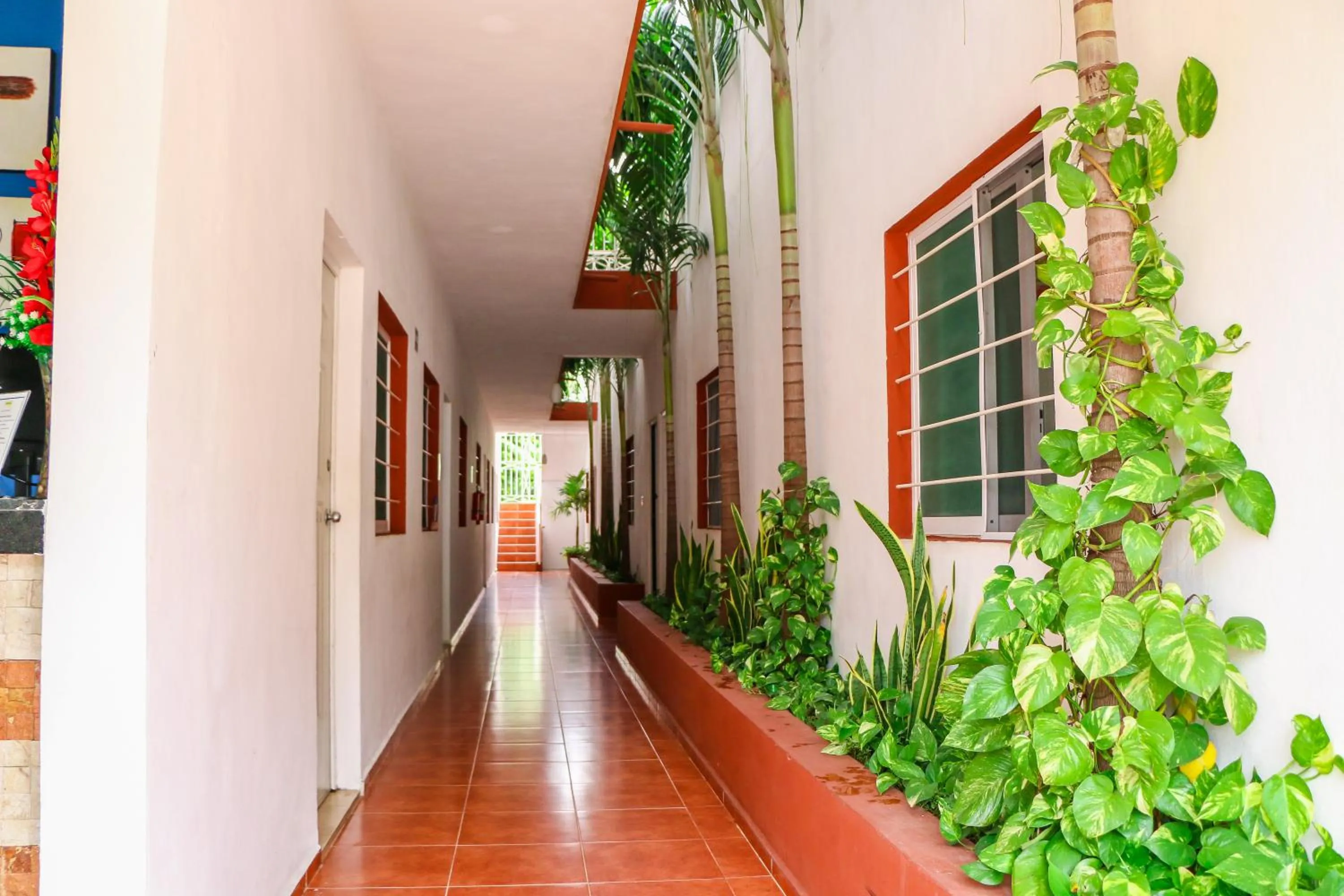 Day in Gayser Apartamentos