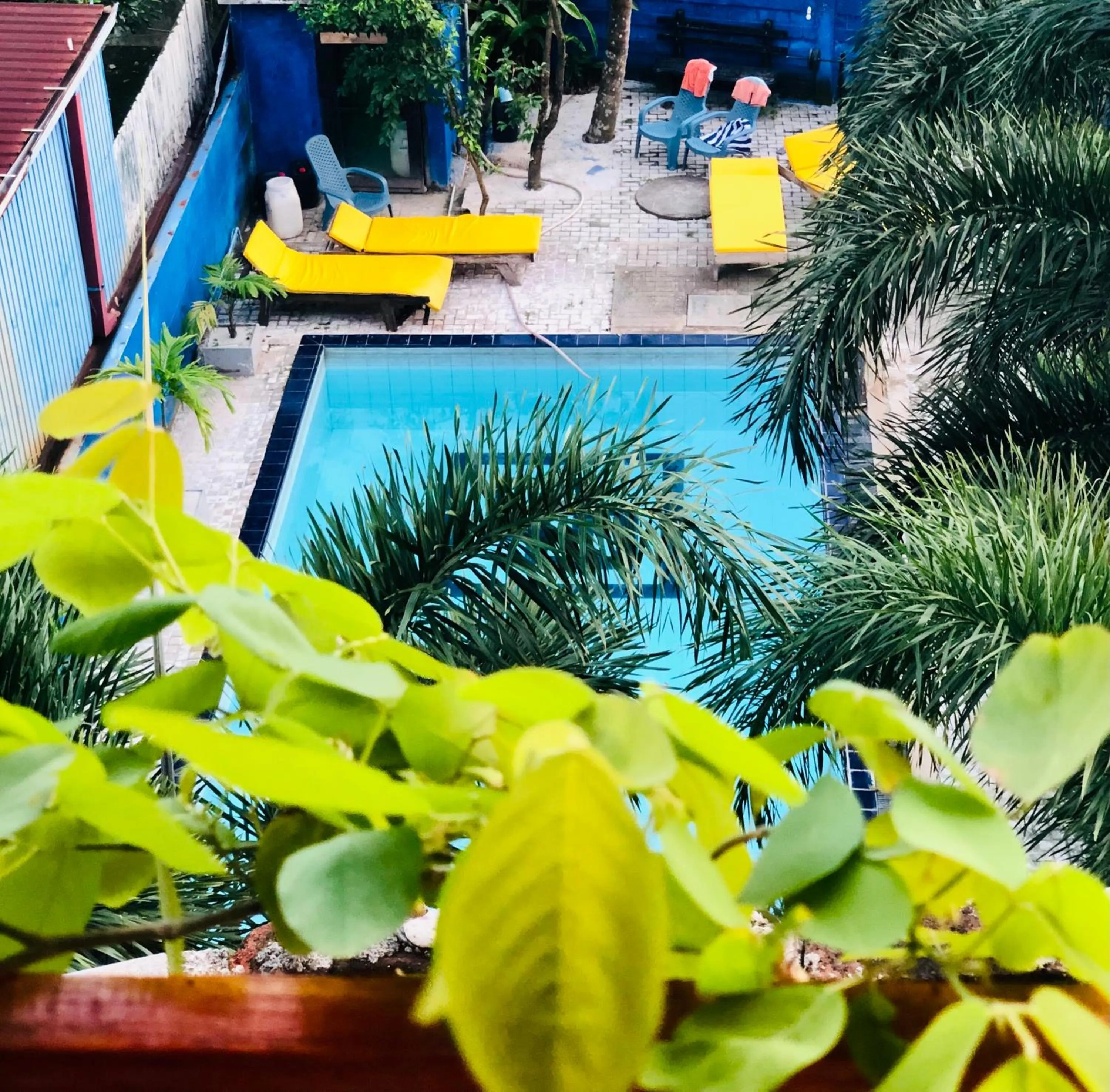 Swimming pool in Wake N Flow, Weligama