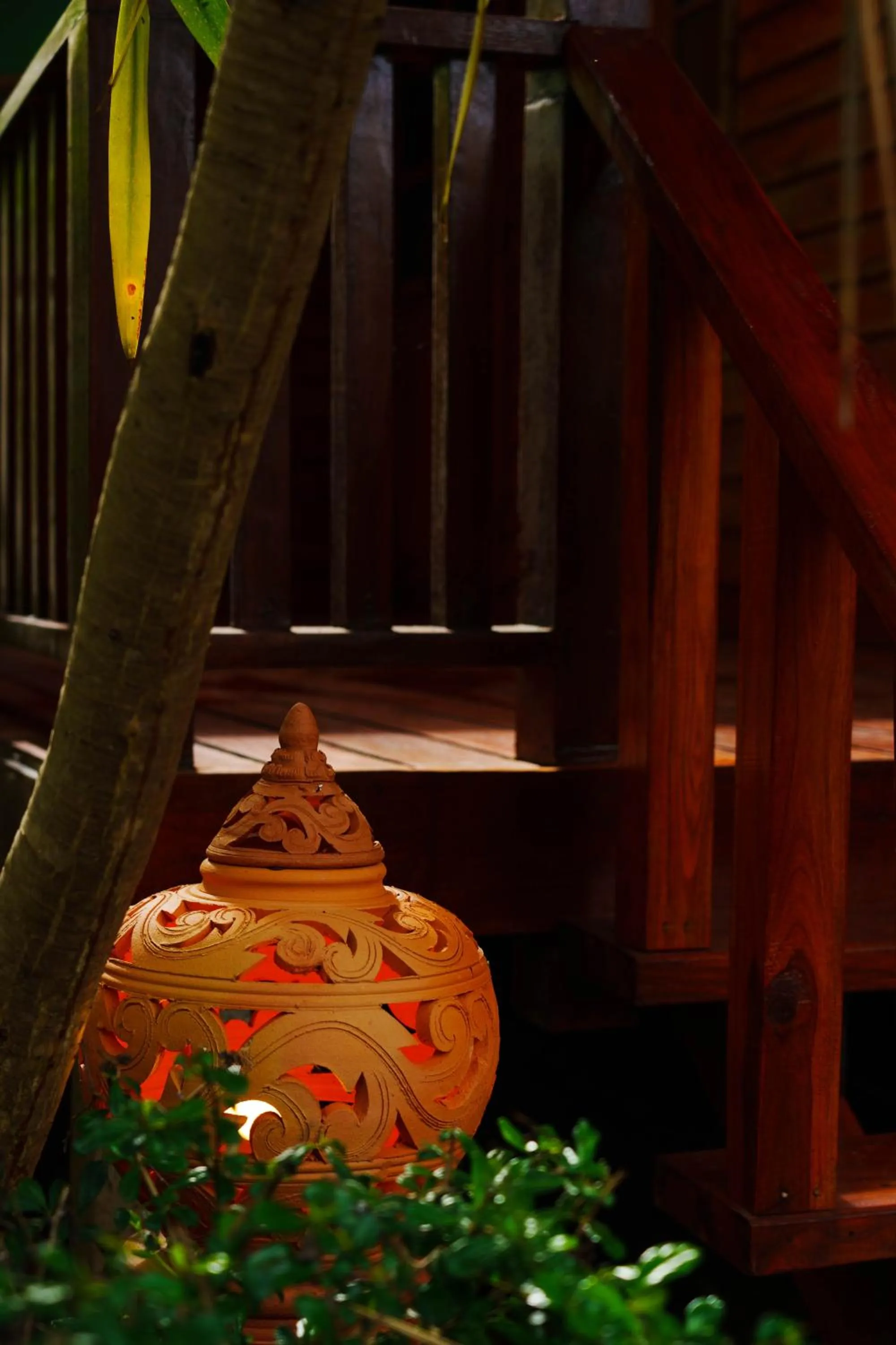 Garden in Doi Inthanon View Resort