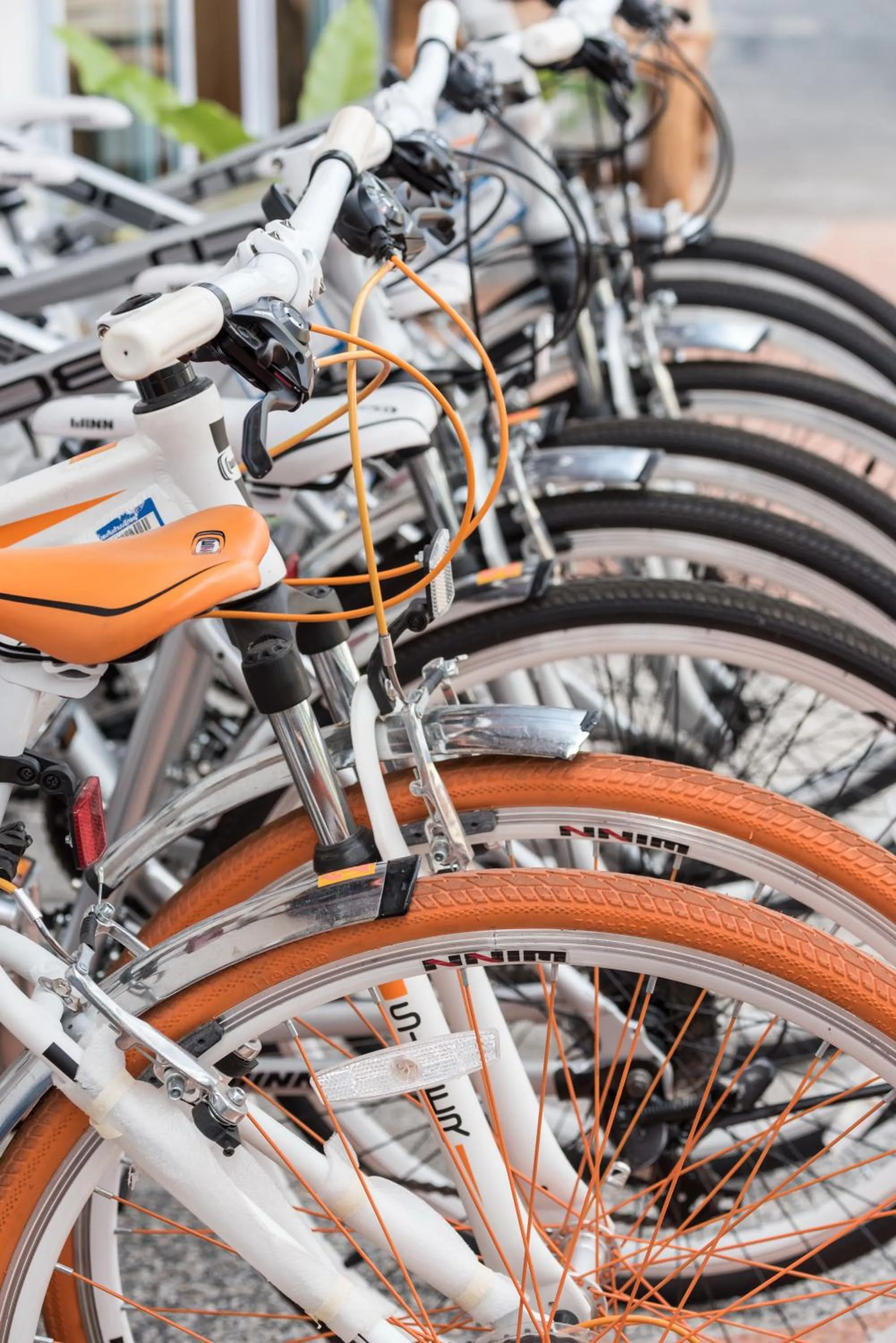 Activities in Doi Inthanon View Resort