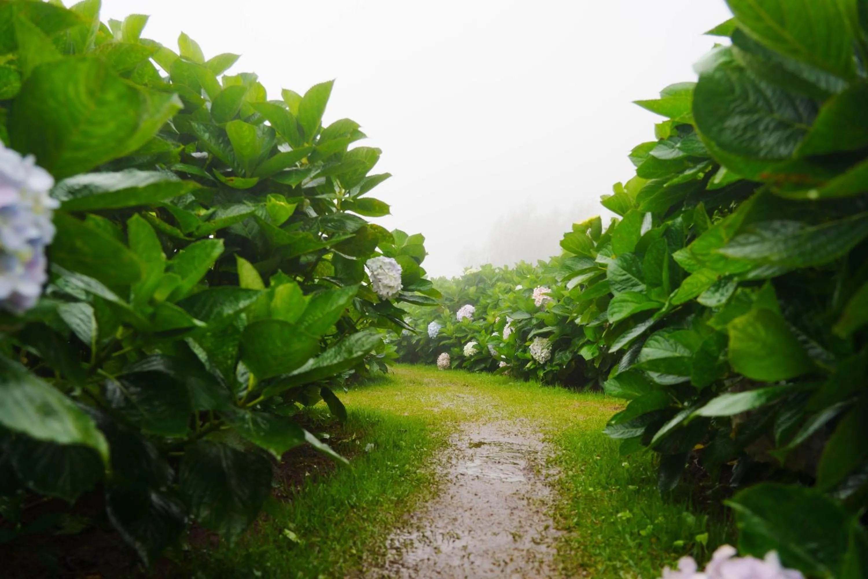 Nearby landmark in Doi Inthanon View Resort