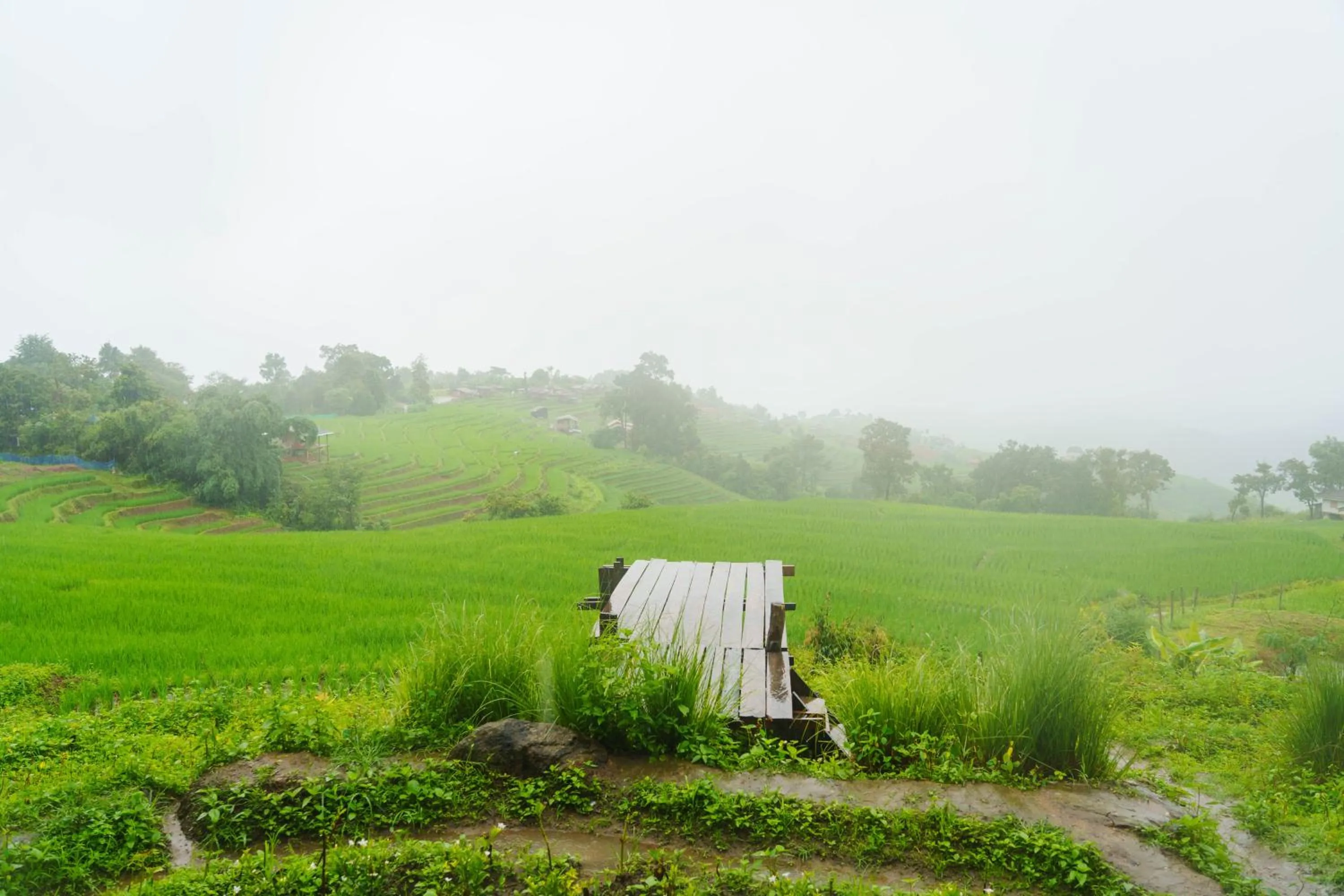 Nearby landmark in Doi Inthanon View Resort