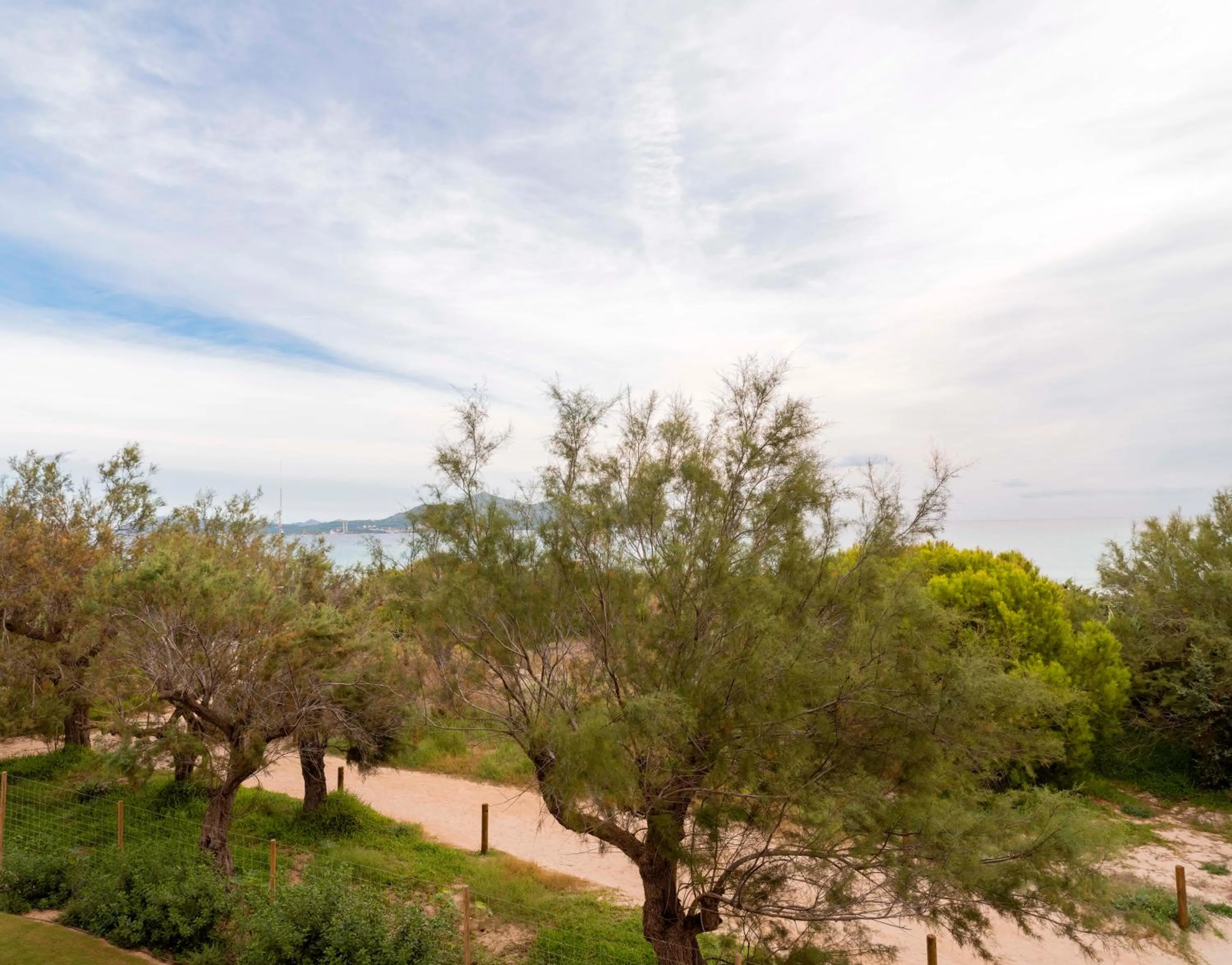 Natural landscape in Iberostar Selection Albufera Park All Inclusive