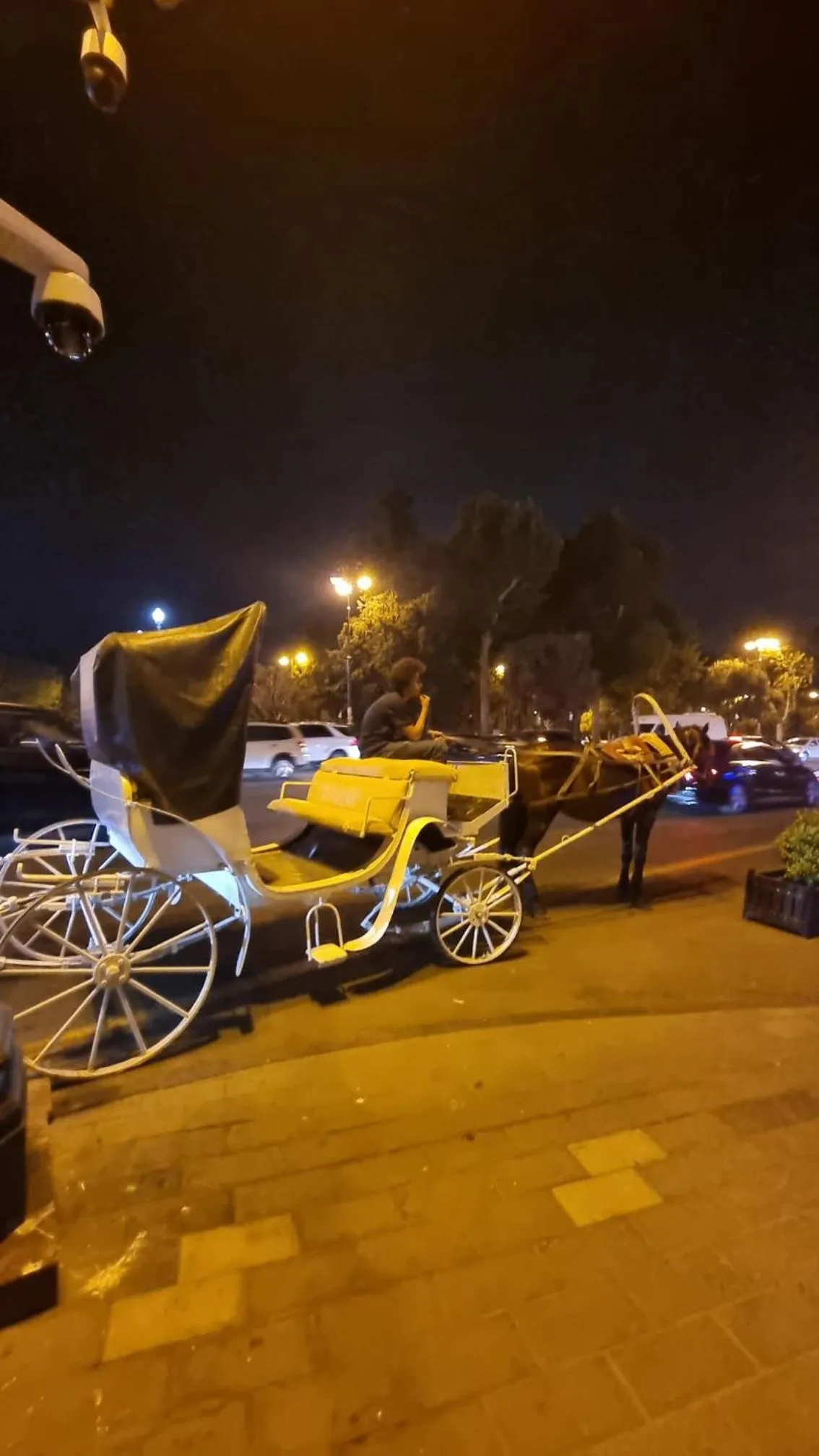 Horse-riding in Apartments History 1870