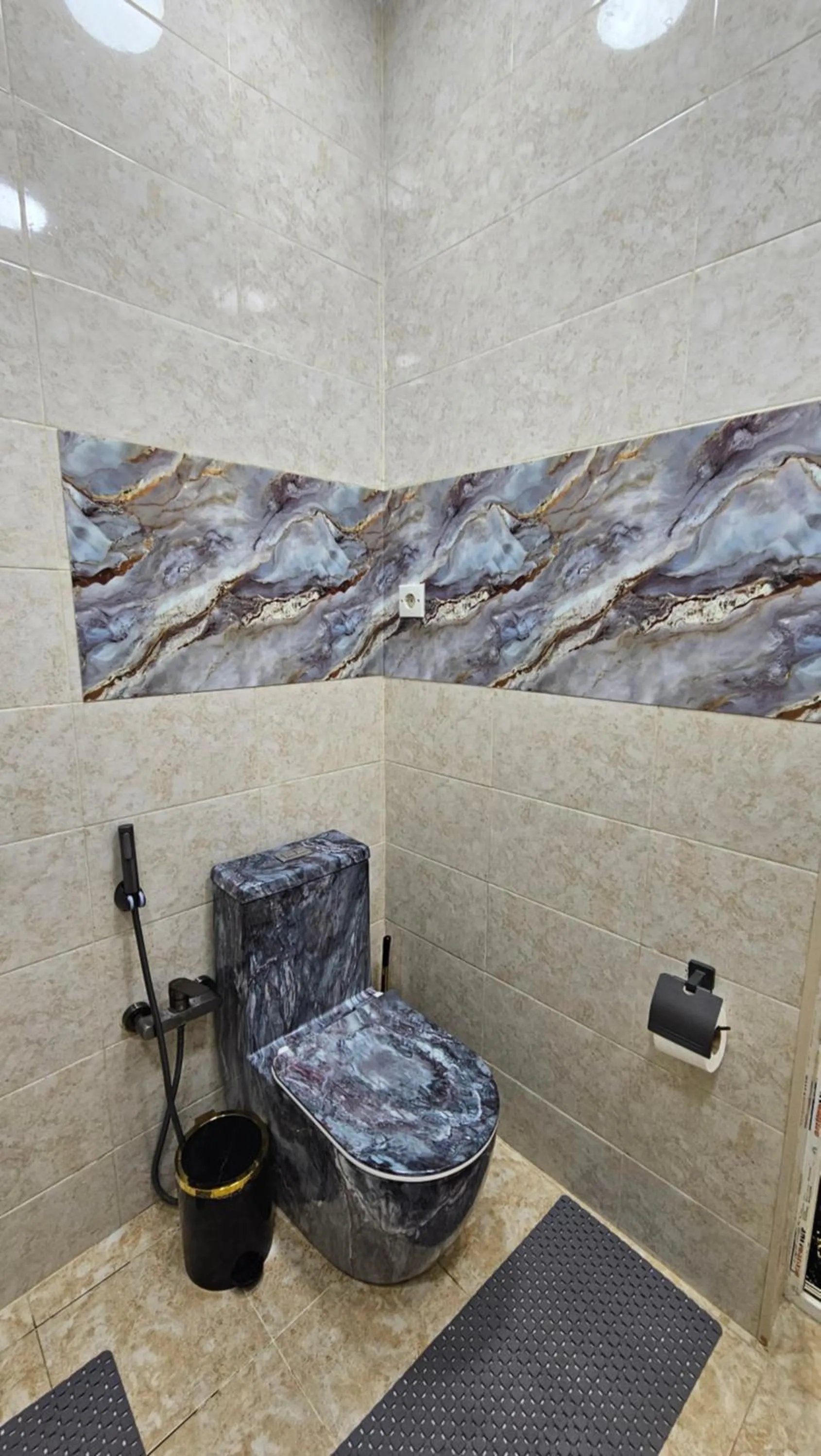 Toilet in Apartments History 1870