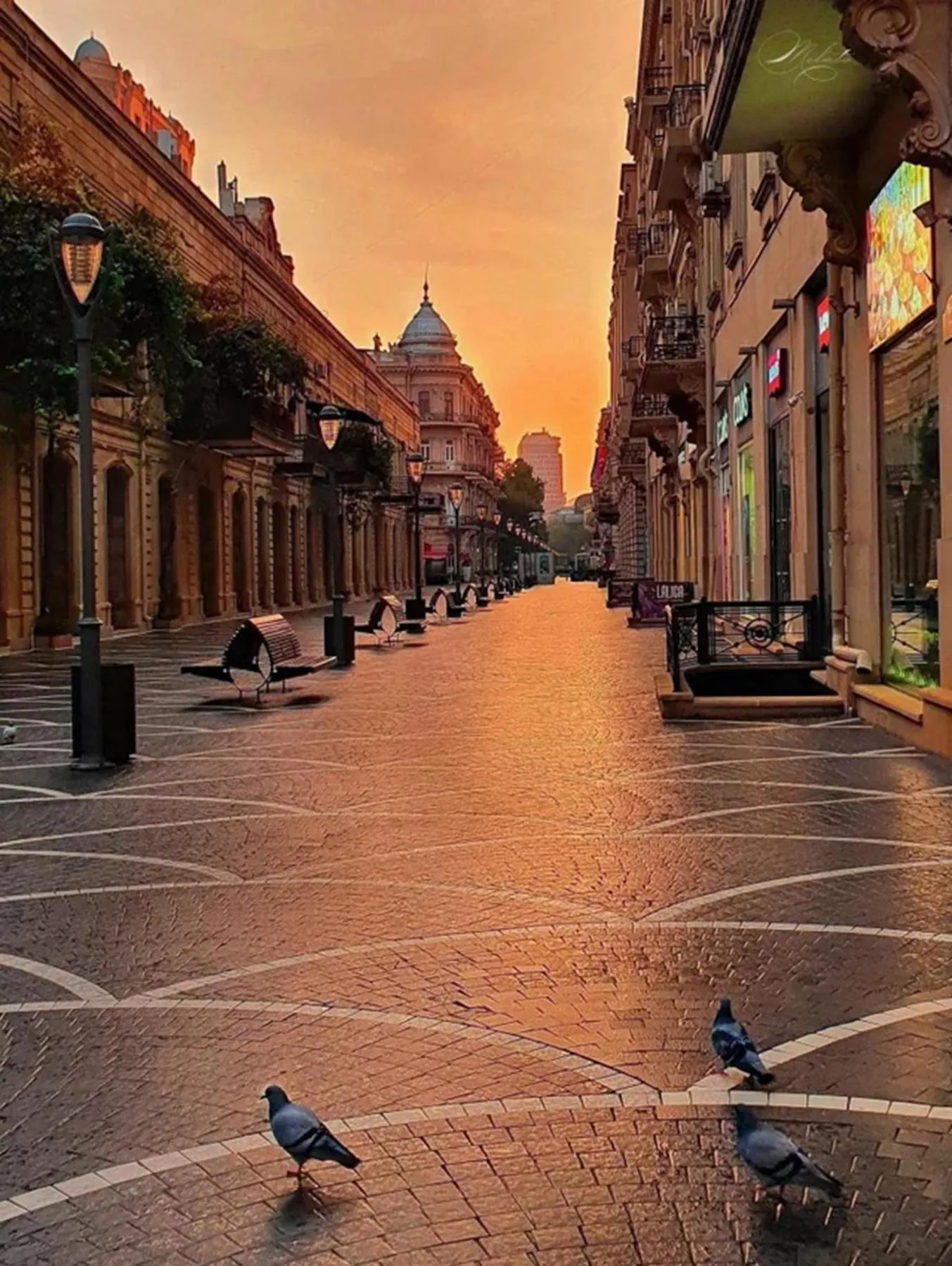 Day in Apartments History 1870