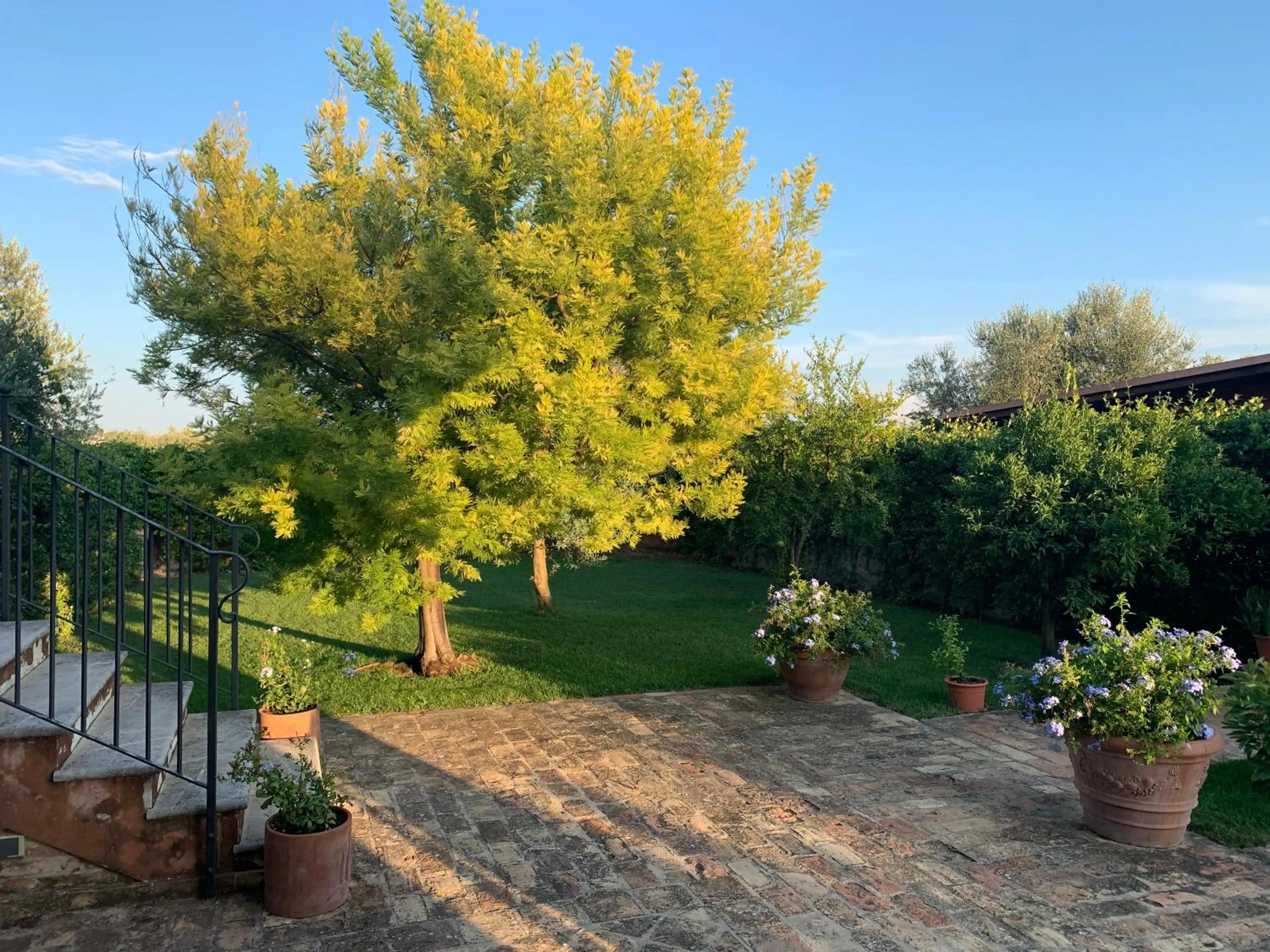Appartamento Mimosa