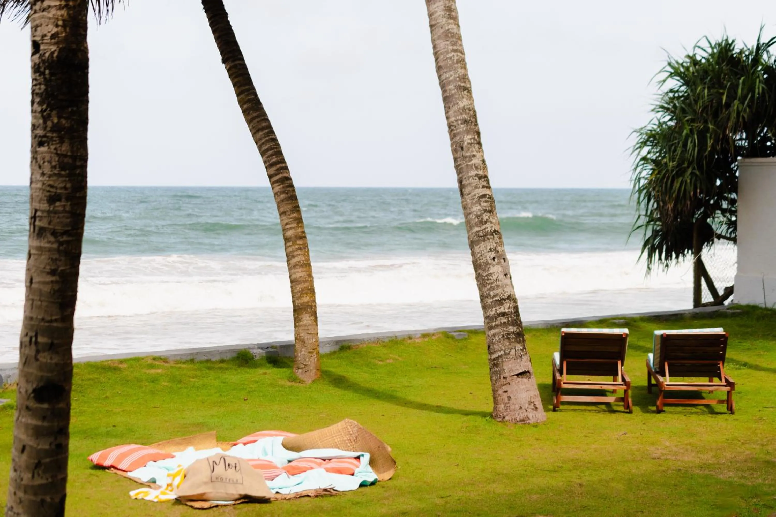 Garden in Moi Induruwa by DBI