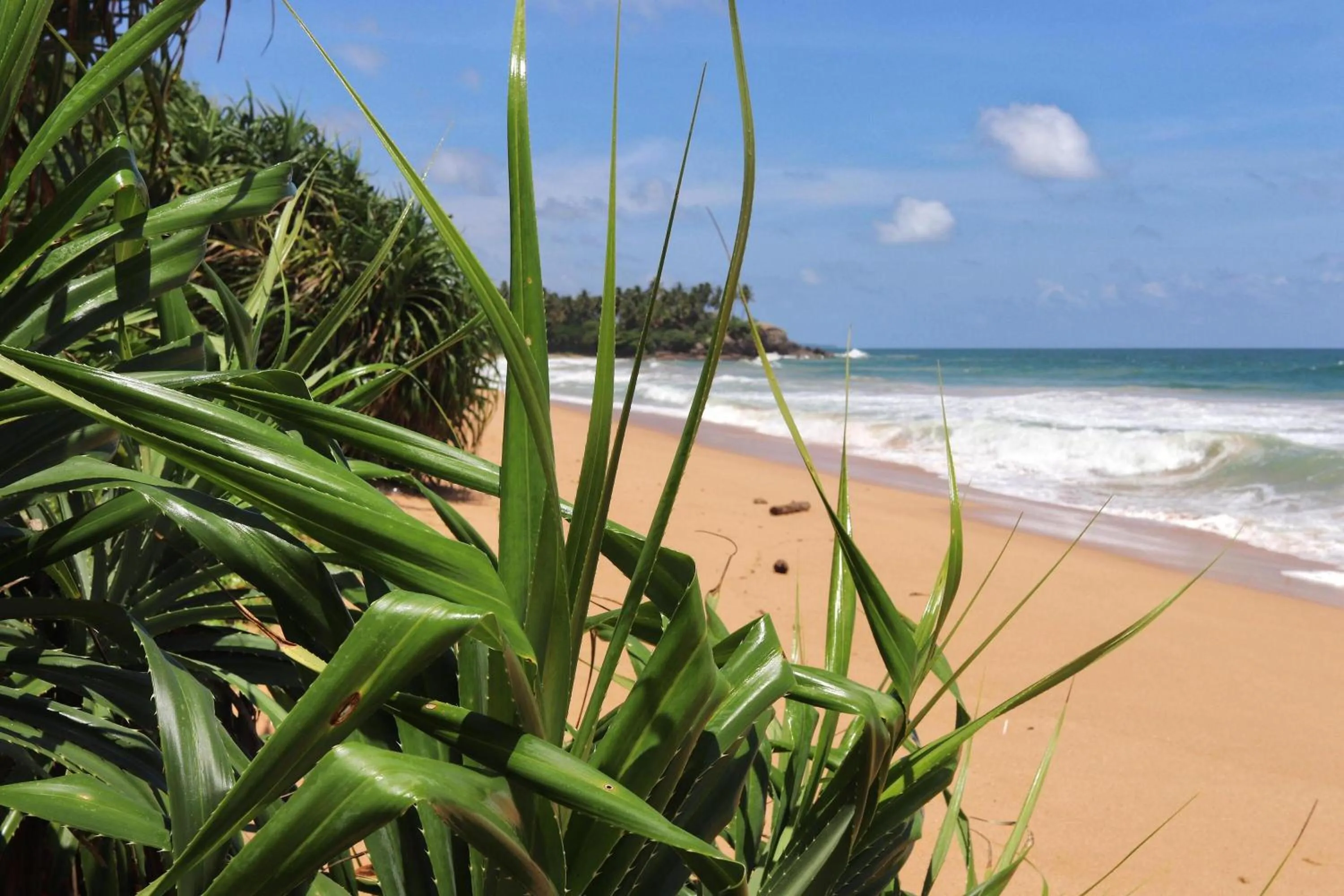 Nearby landmark in Moi Induruwa by DBI