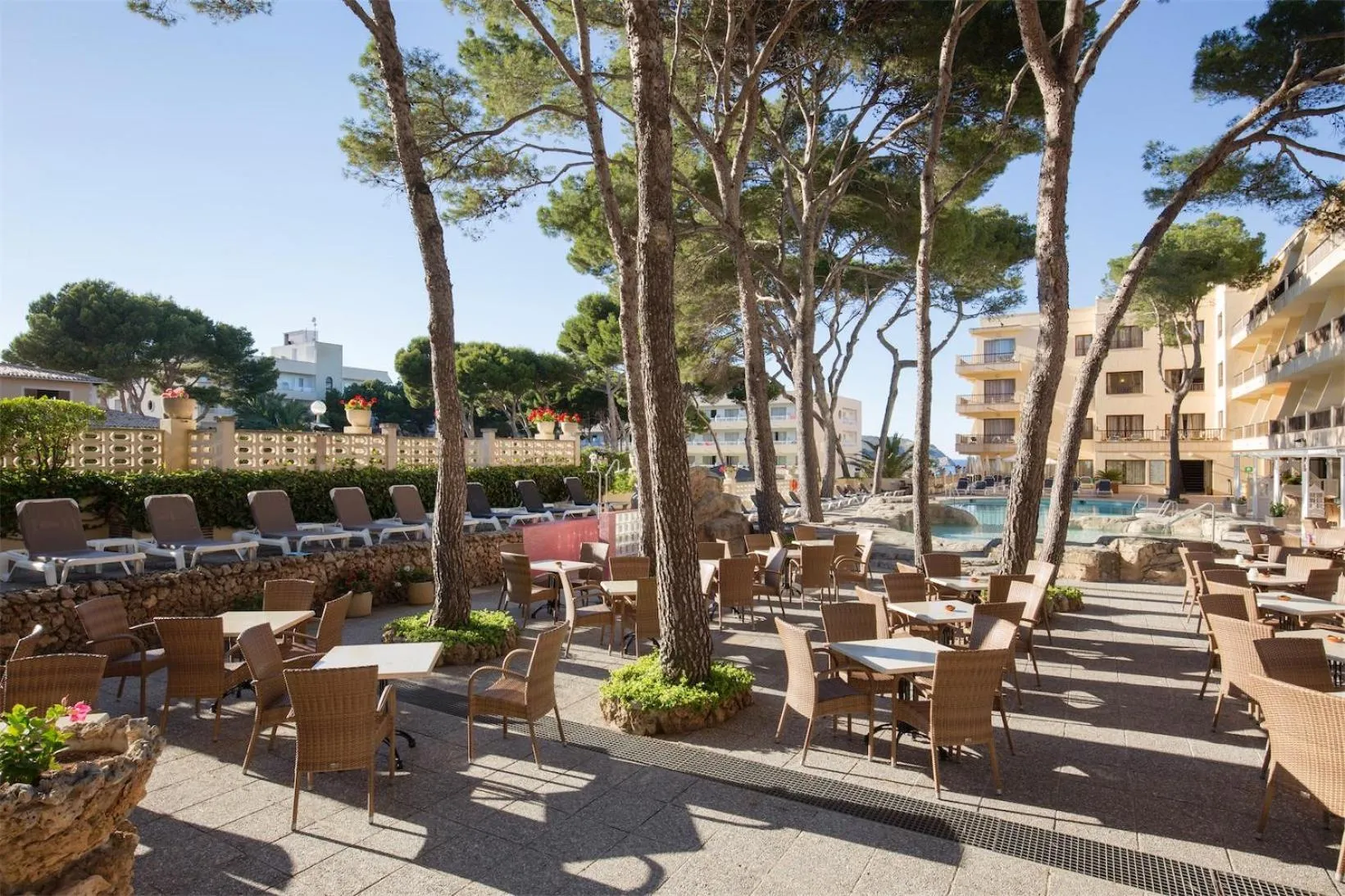 Patio in Hotel Bella Playa & Spa