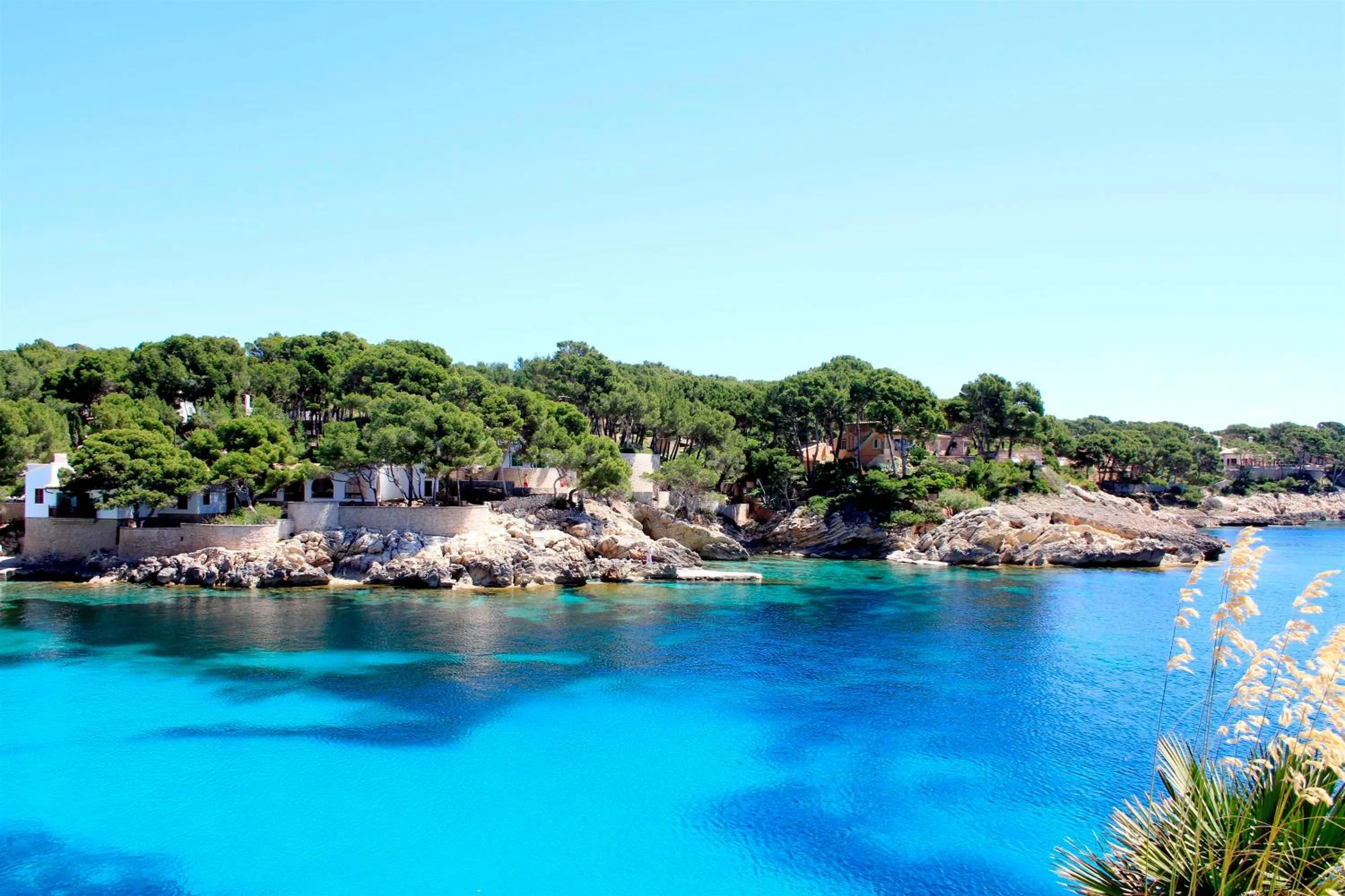 Area and facilities in Hotel Bella Playa & Spa