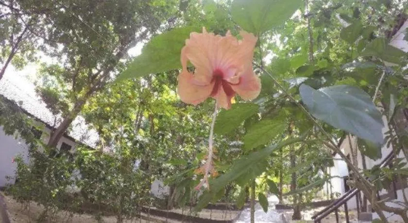 Perhentian Tivoli Inn