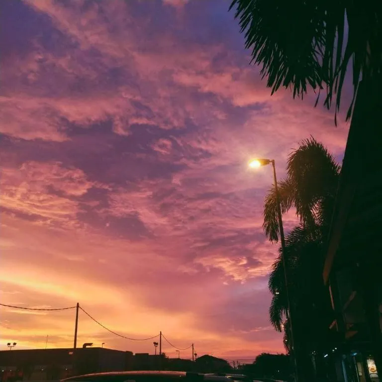 Sea Lion Firefly Concept Hotel