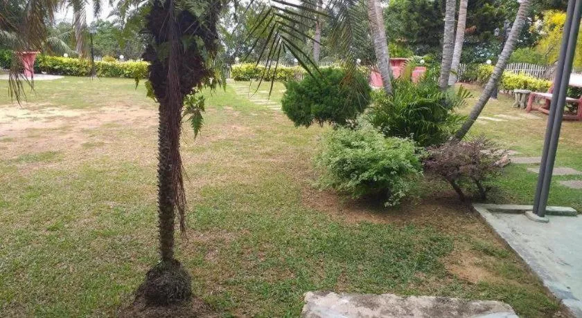 Mynubeholidays - NTCPD