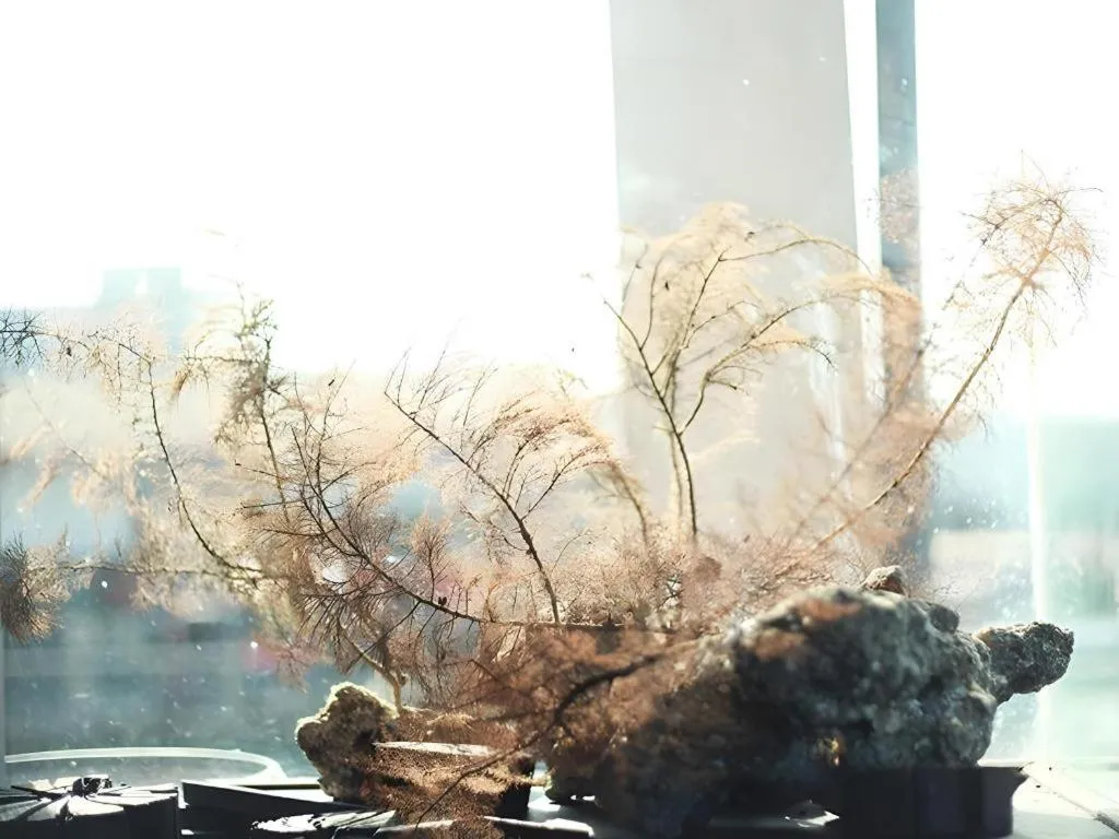 The Happy 8 Retreat @ Kuala Sepetang