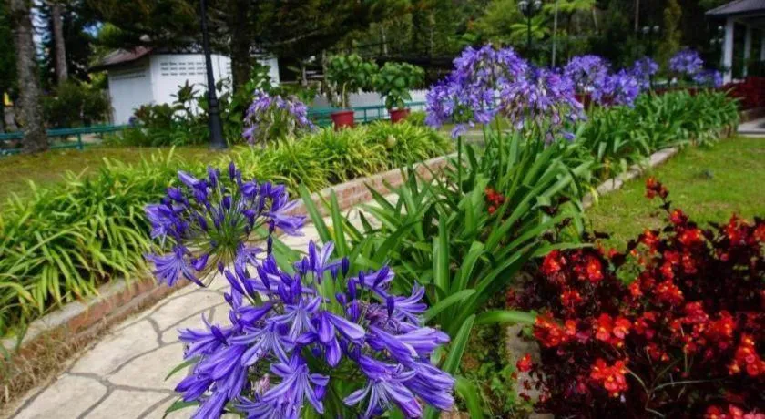 Camlodge Budget Hotel