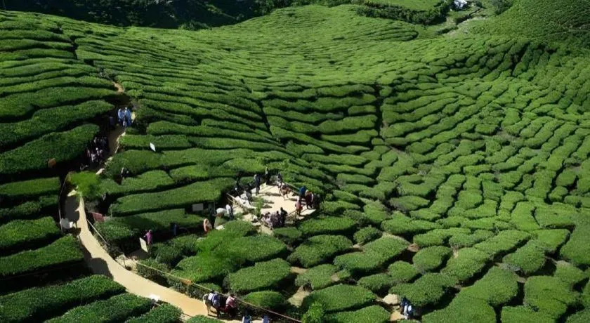 Camlodge Budget Hotel