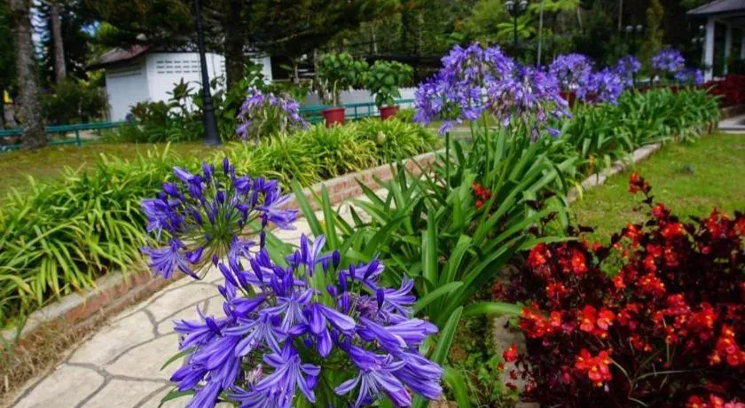 Camlodge Budget Hotel