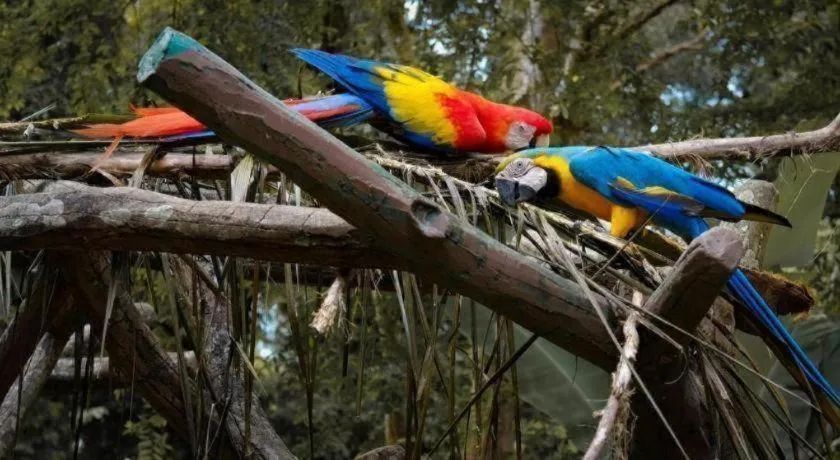 Hotel Kobemas Melaka