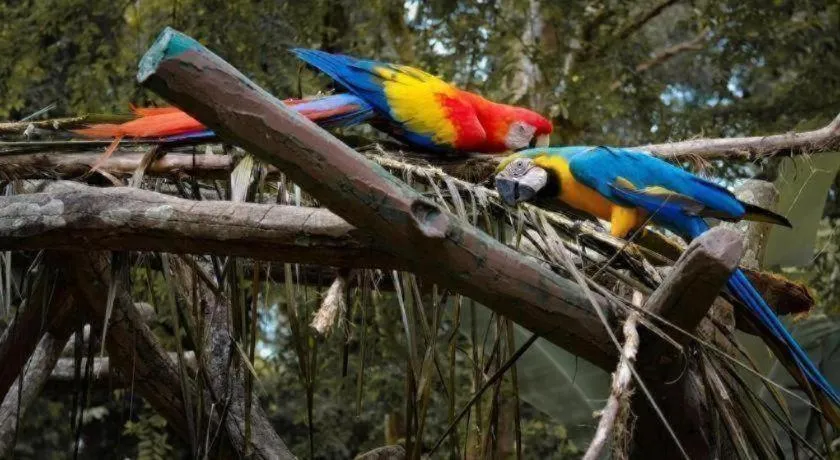 Hotel Kobemas Melaka