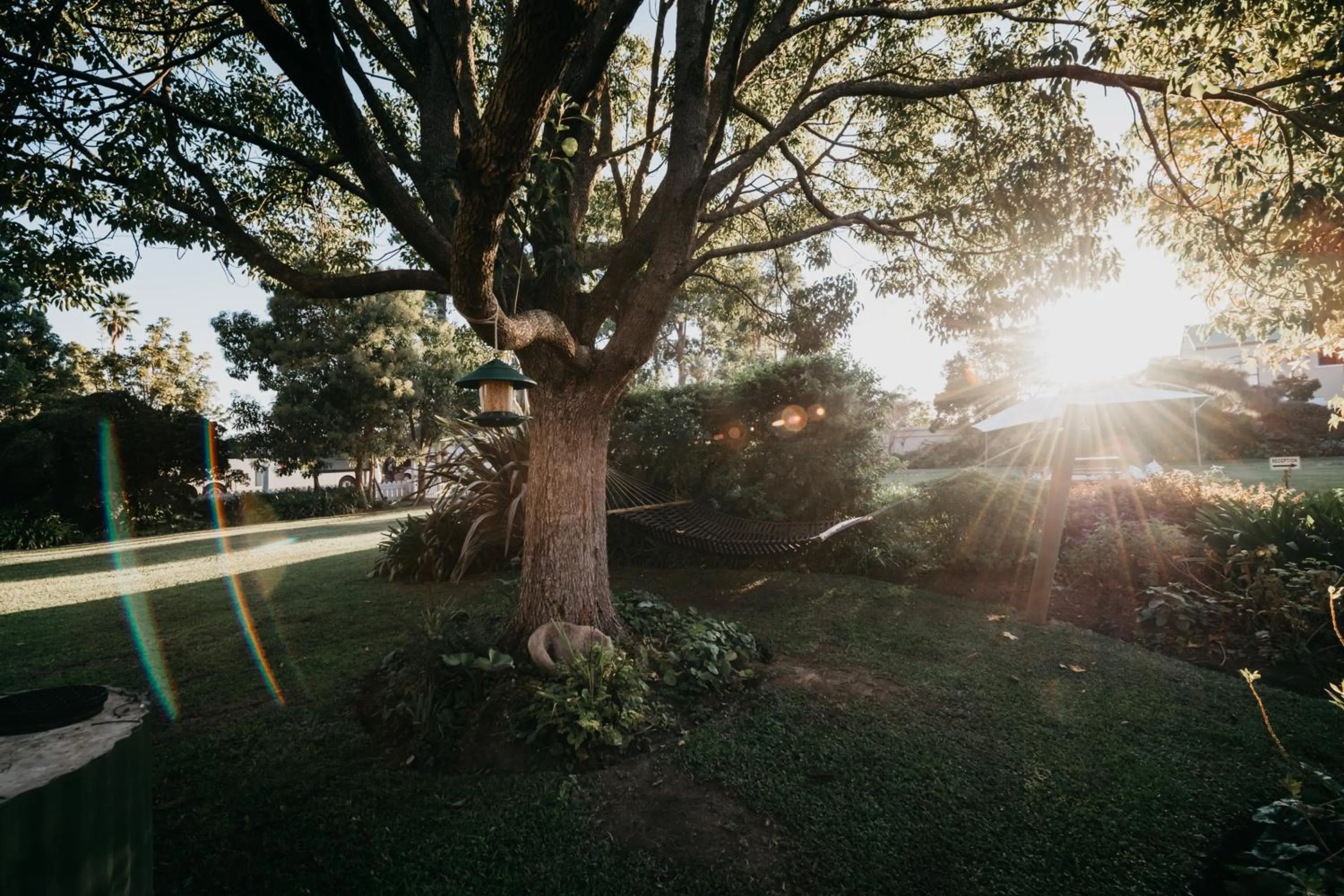 Garden in The Village Lodge