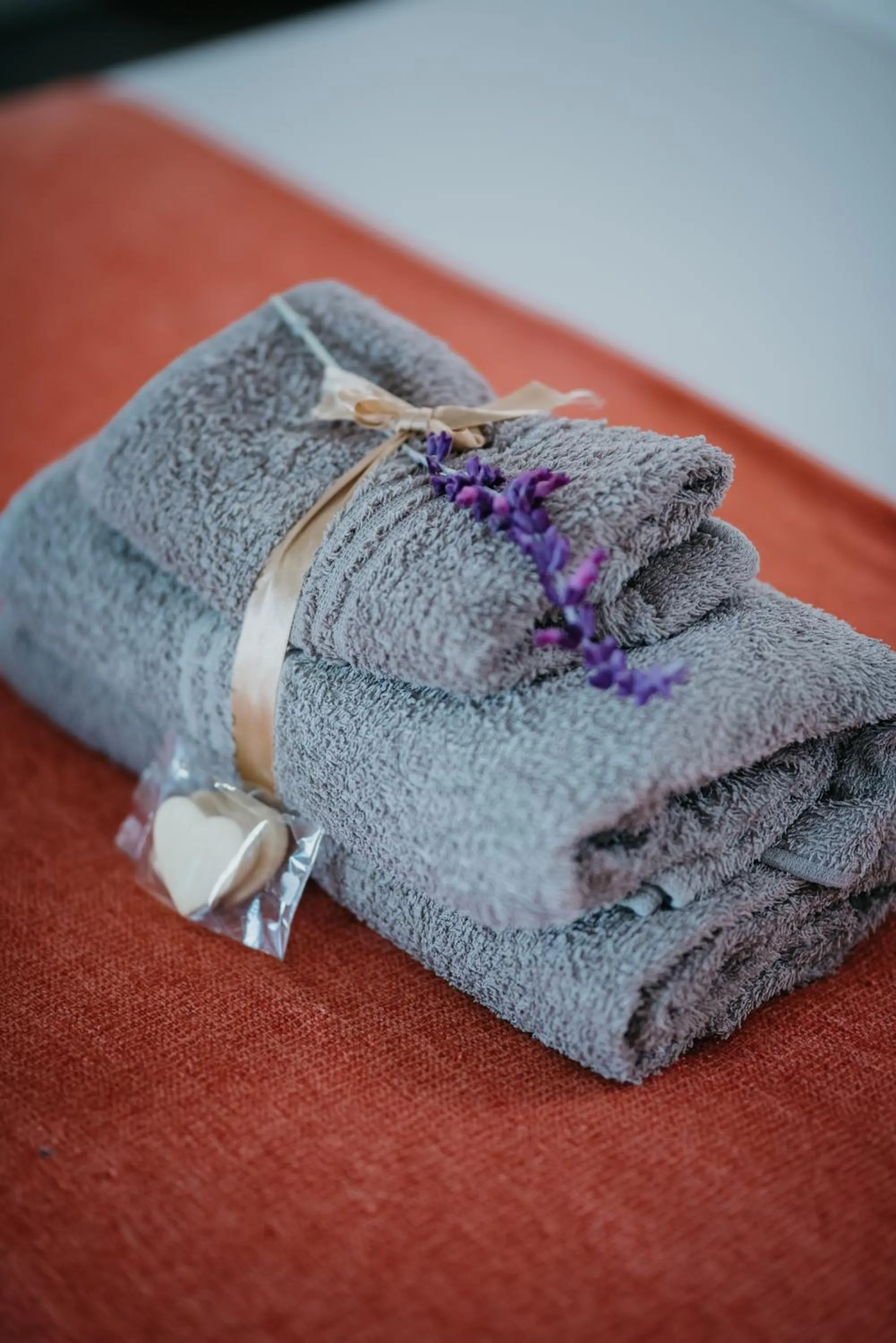 Photo of the whole room in The Village Lodge