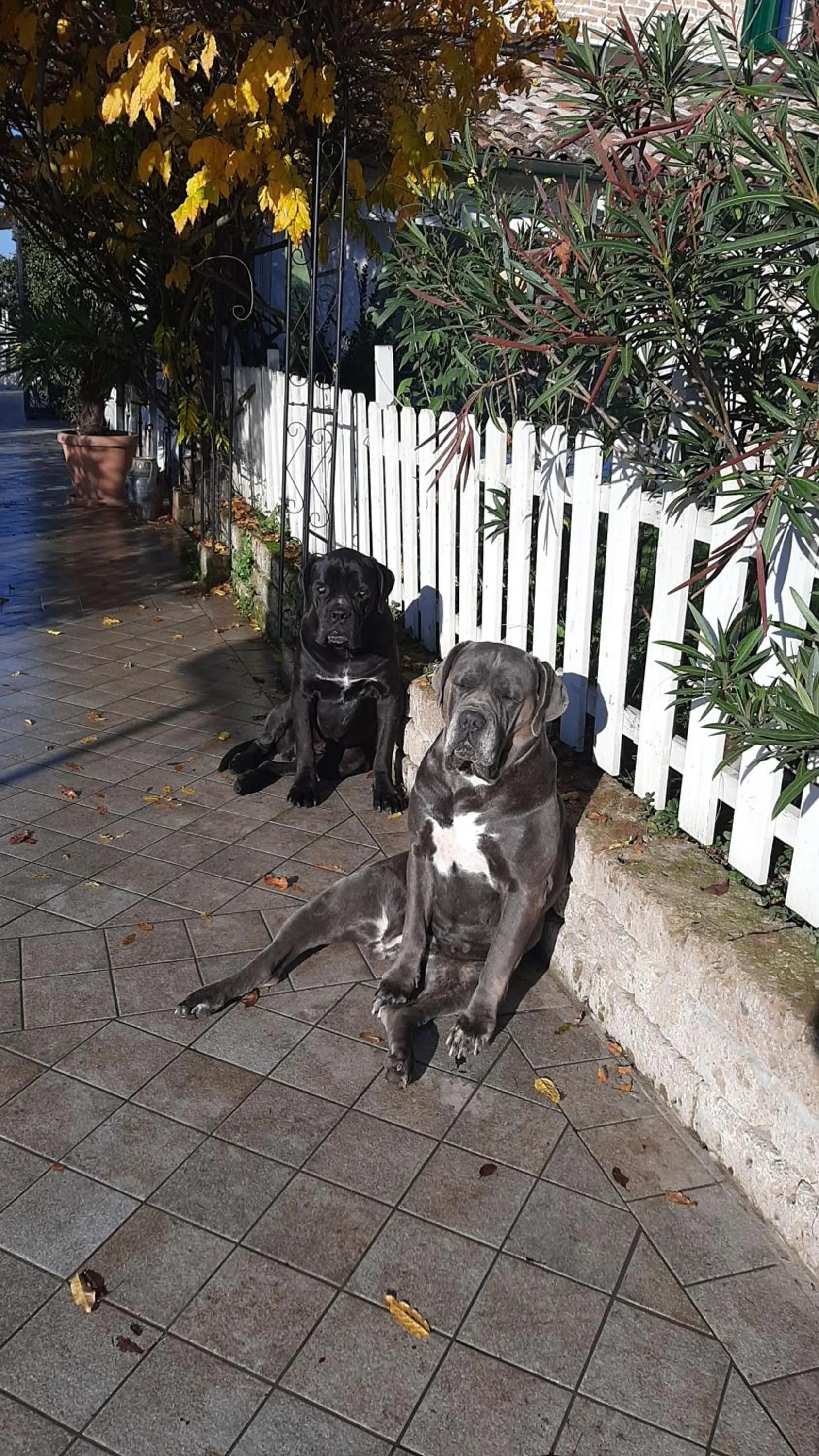 Day in B&B Abracadabra