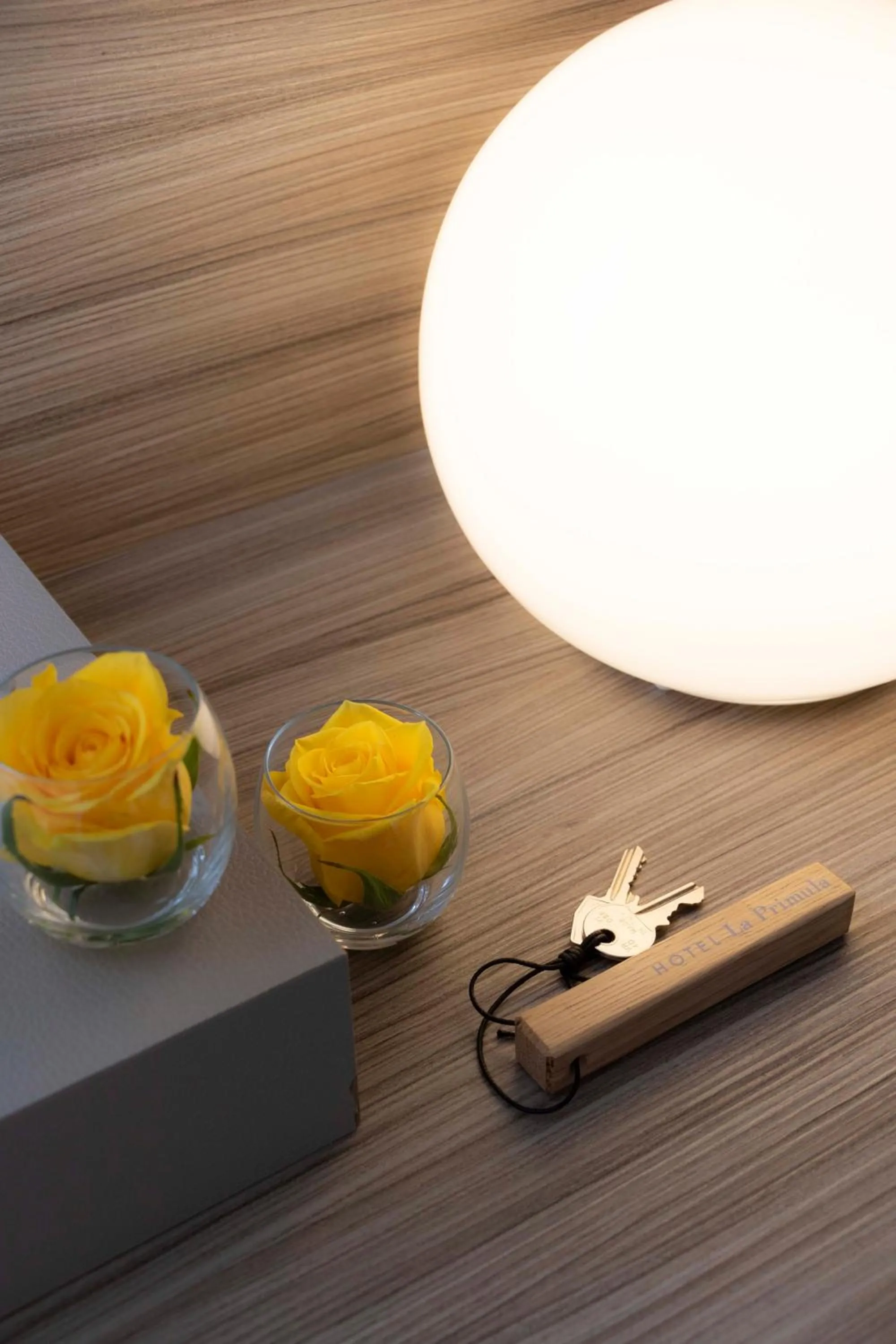 Other in Hotel La Primula