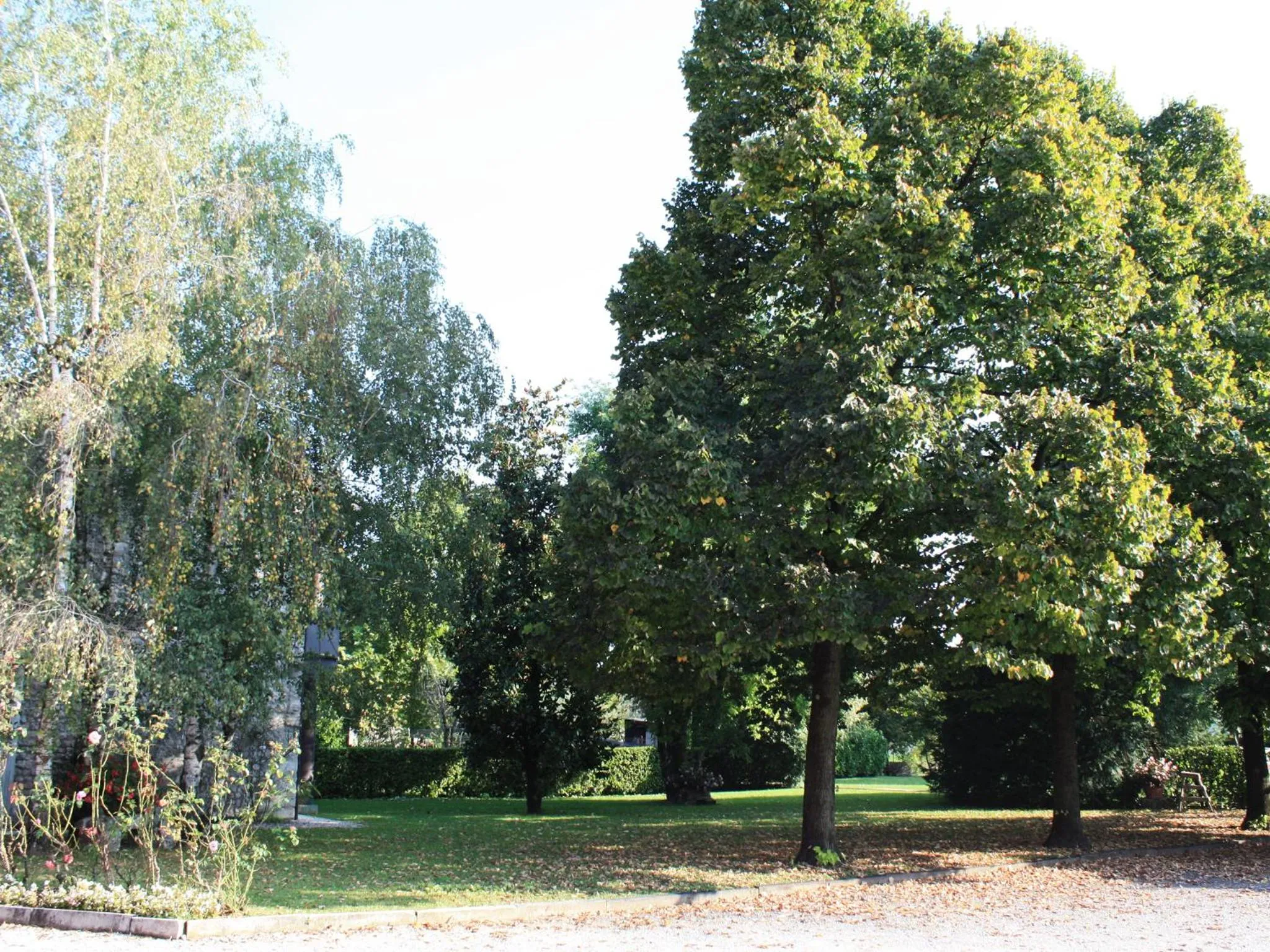 Garden in Hotel La Primula