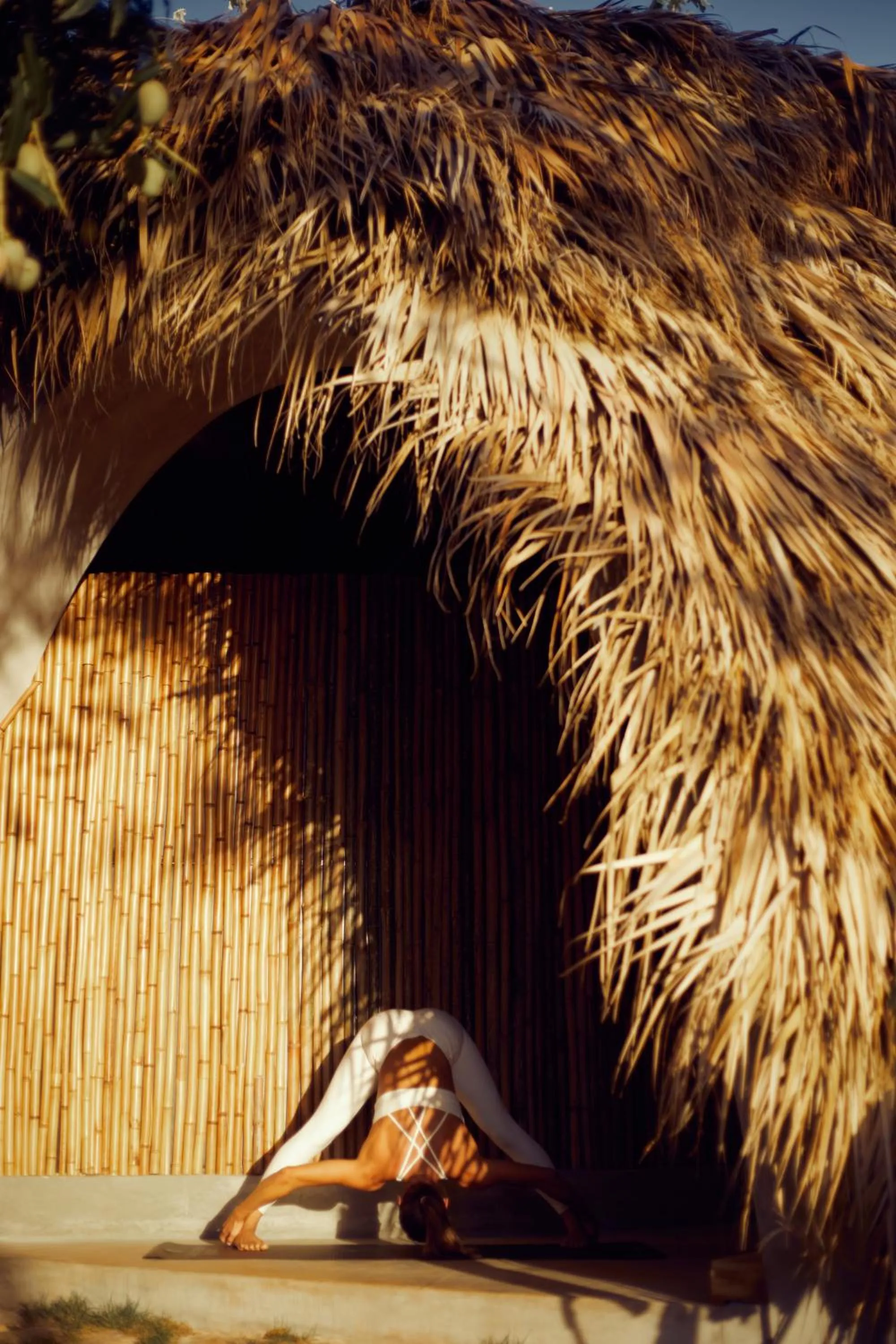 Day in Cayo Levantado Resort - All Inclusive