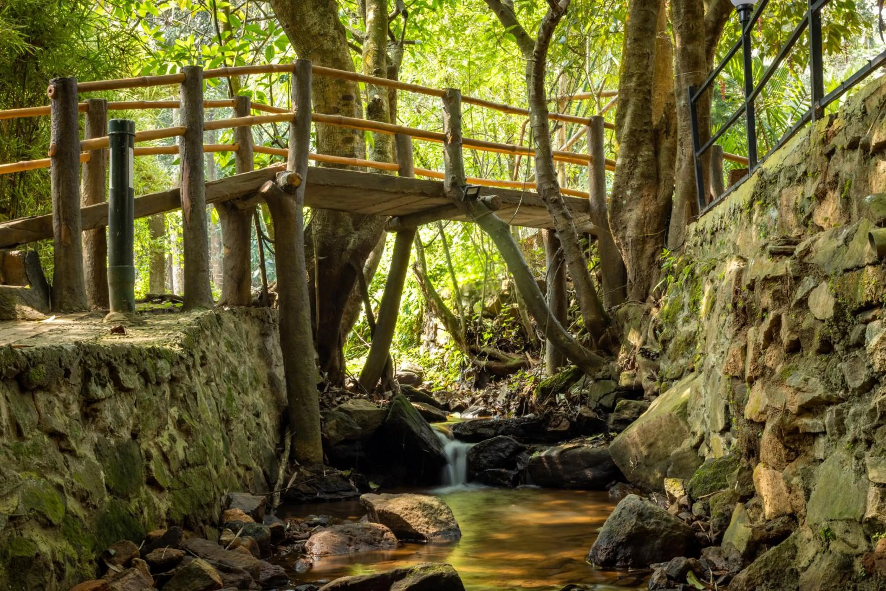 Spring in Lakkidi Village Resort Wayanad