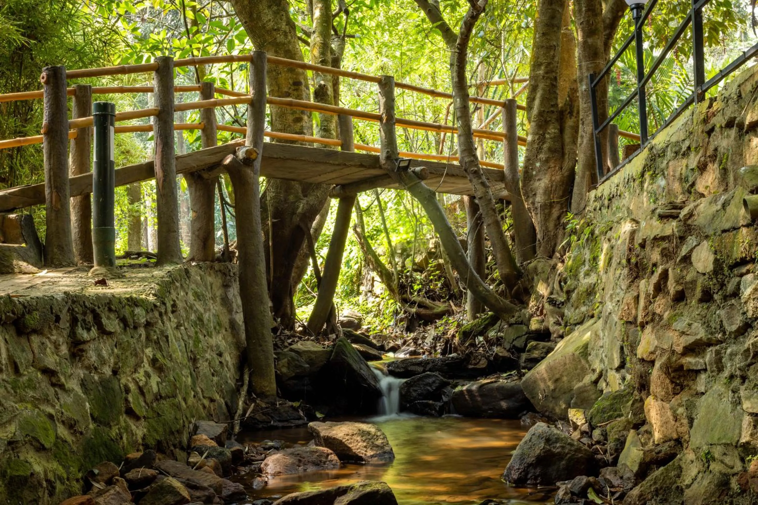 Natural landscape in Lakkidi Village Resort Wayanad