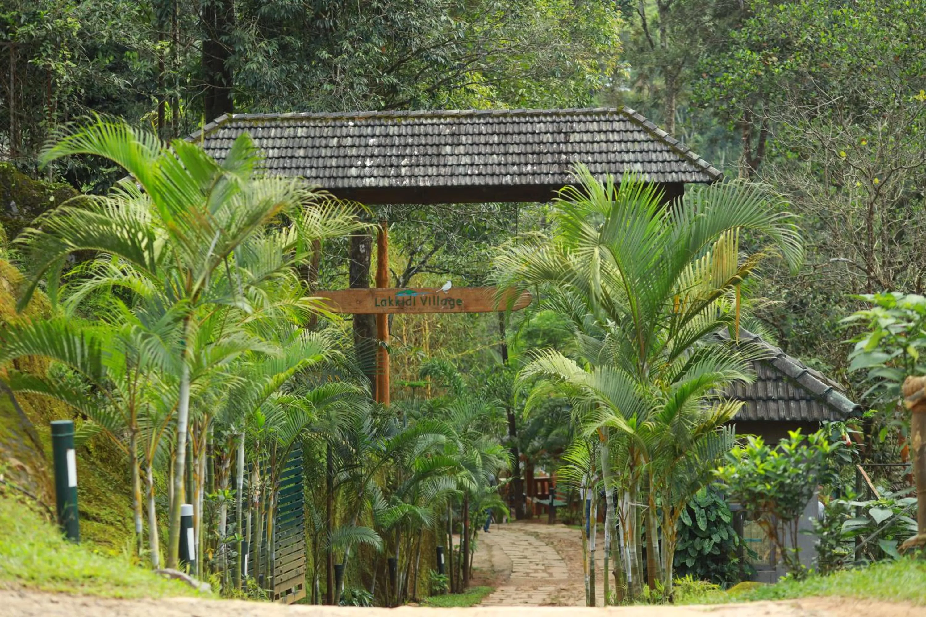 Spring in Lakkidi Village Resort Wayanad