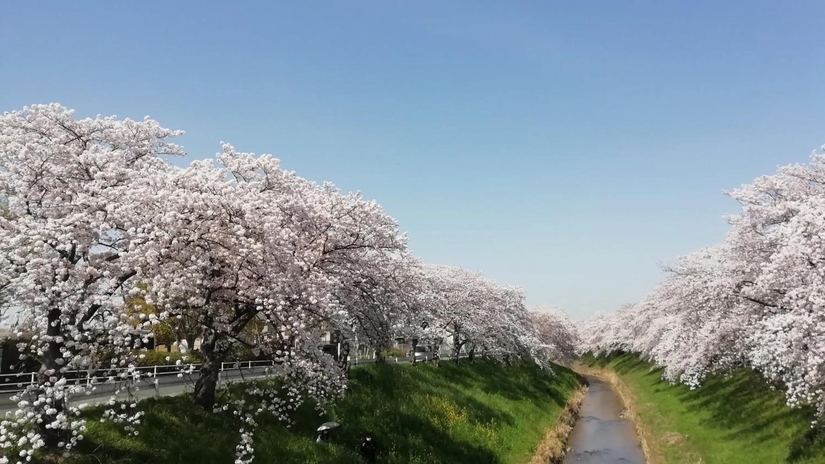 Nearby landmark in Nara Park Hotel