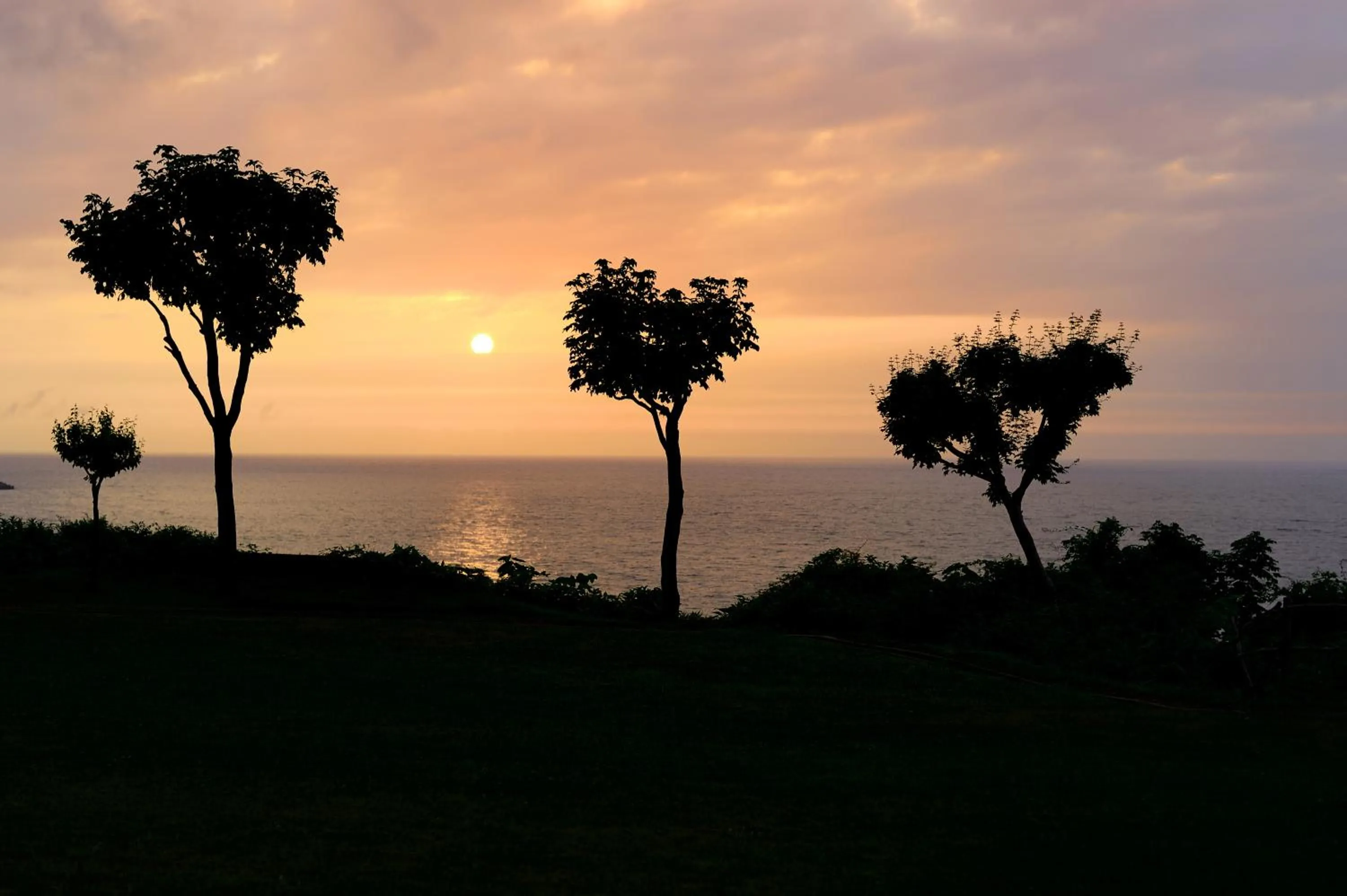 Garden in Hotel Grand Mer Sankaiso