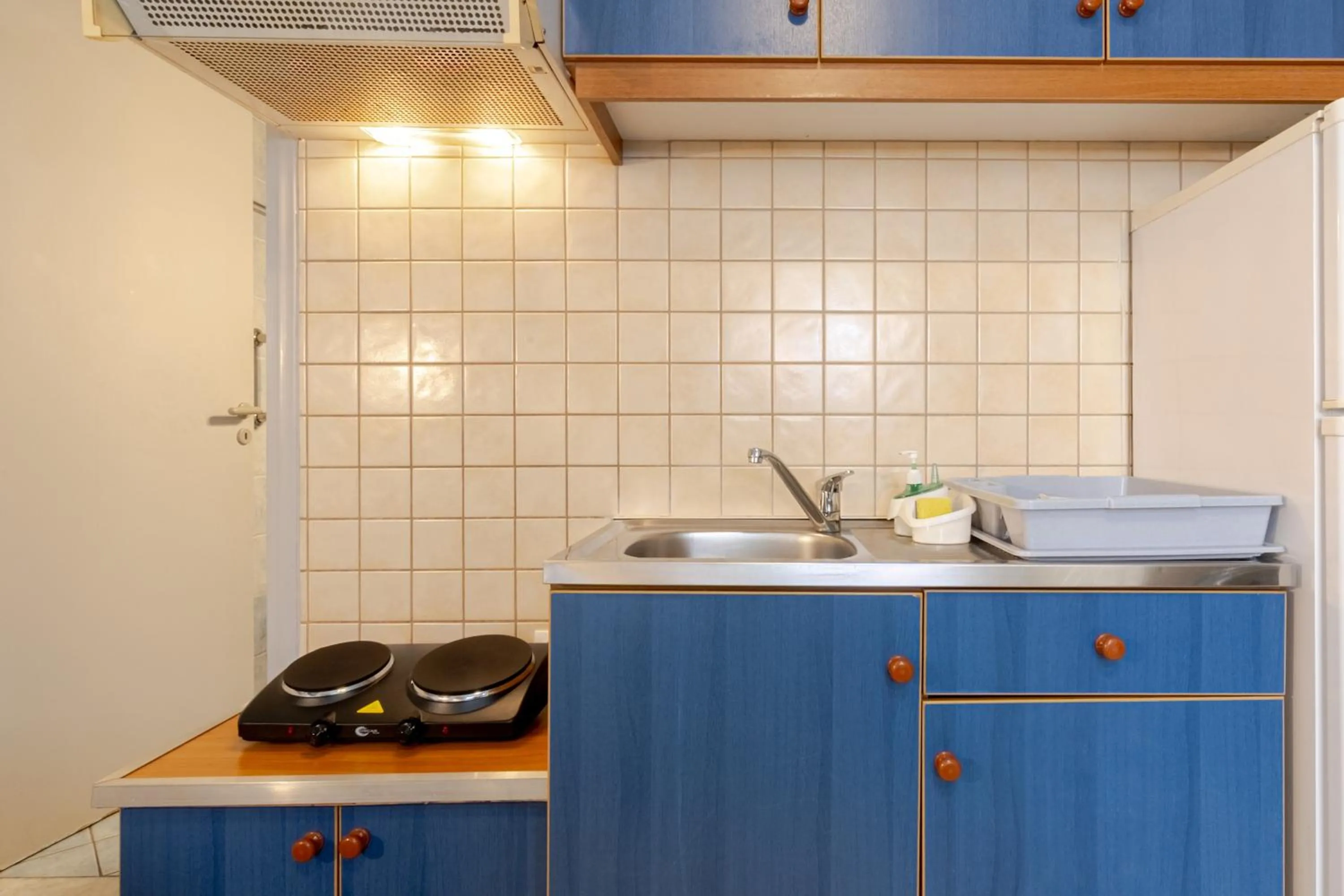 Kitchen or kitchenette in Alena Apartments