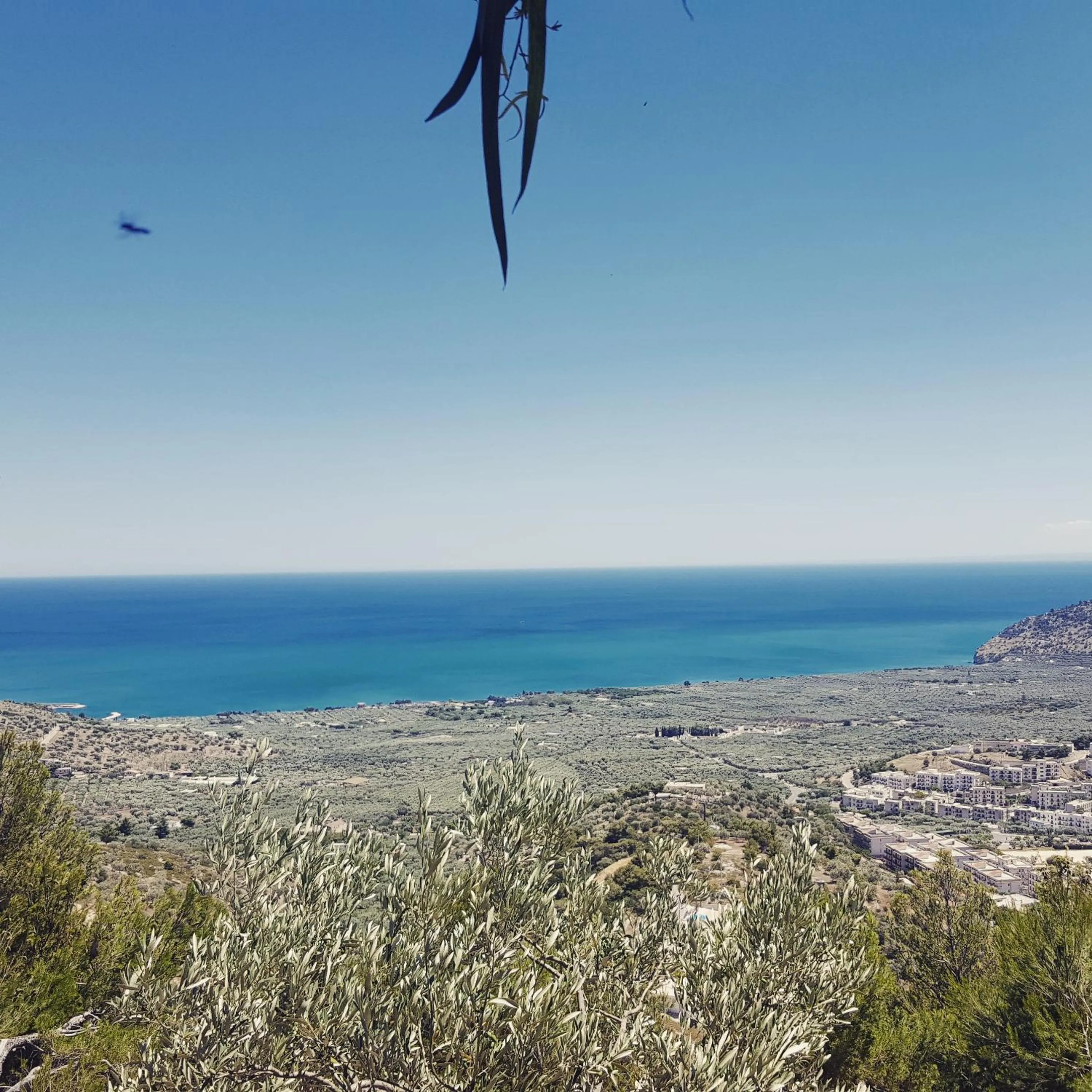 City view in B&B La Scapola