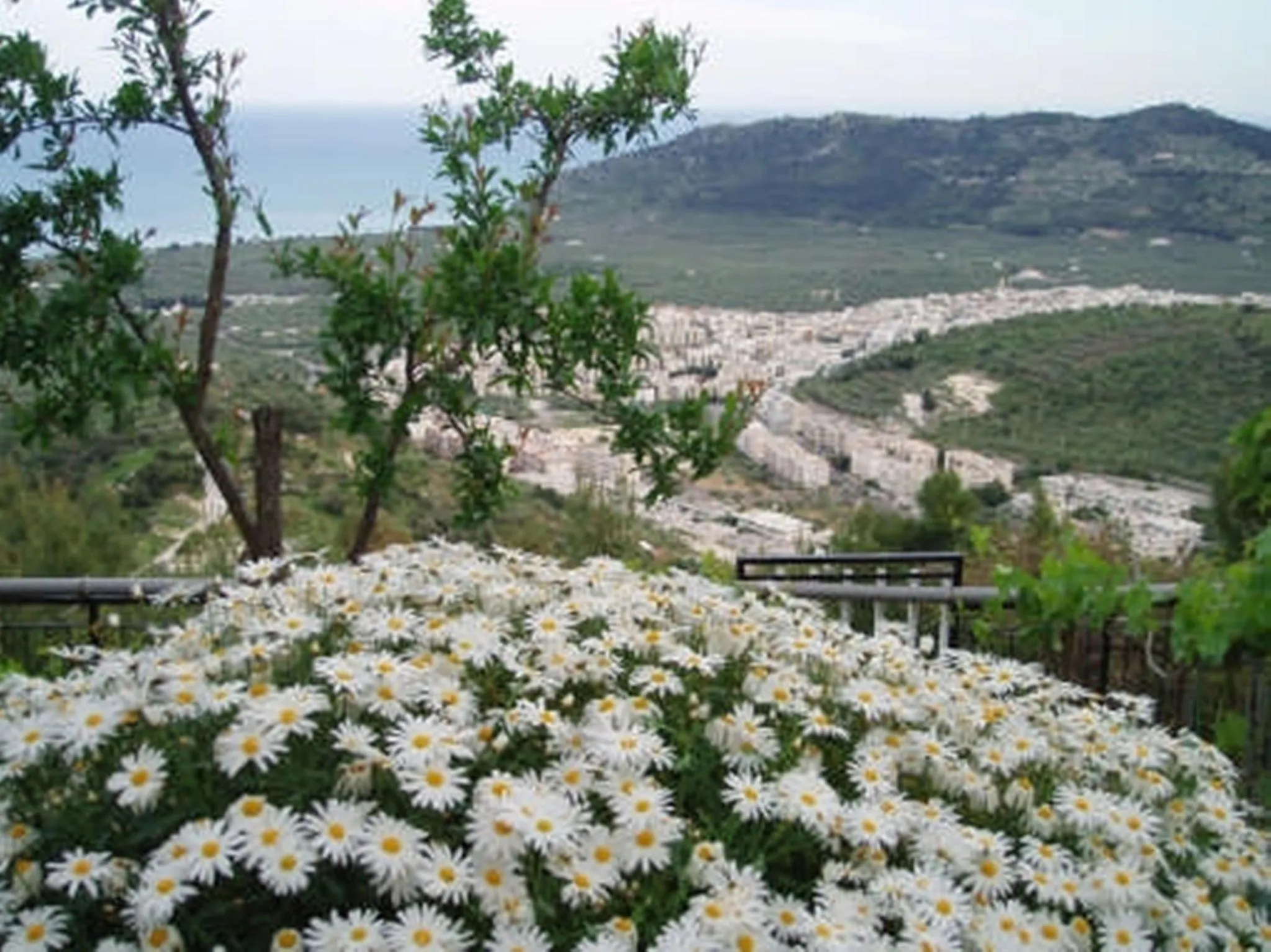 View (from property/room) in B&B La Scapola