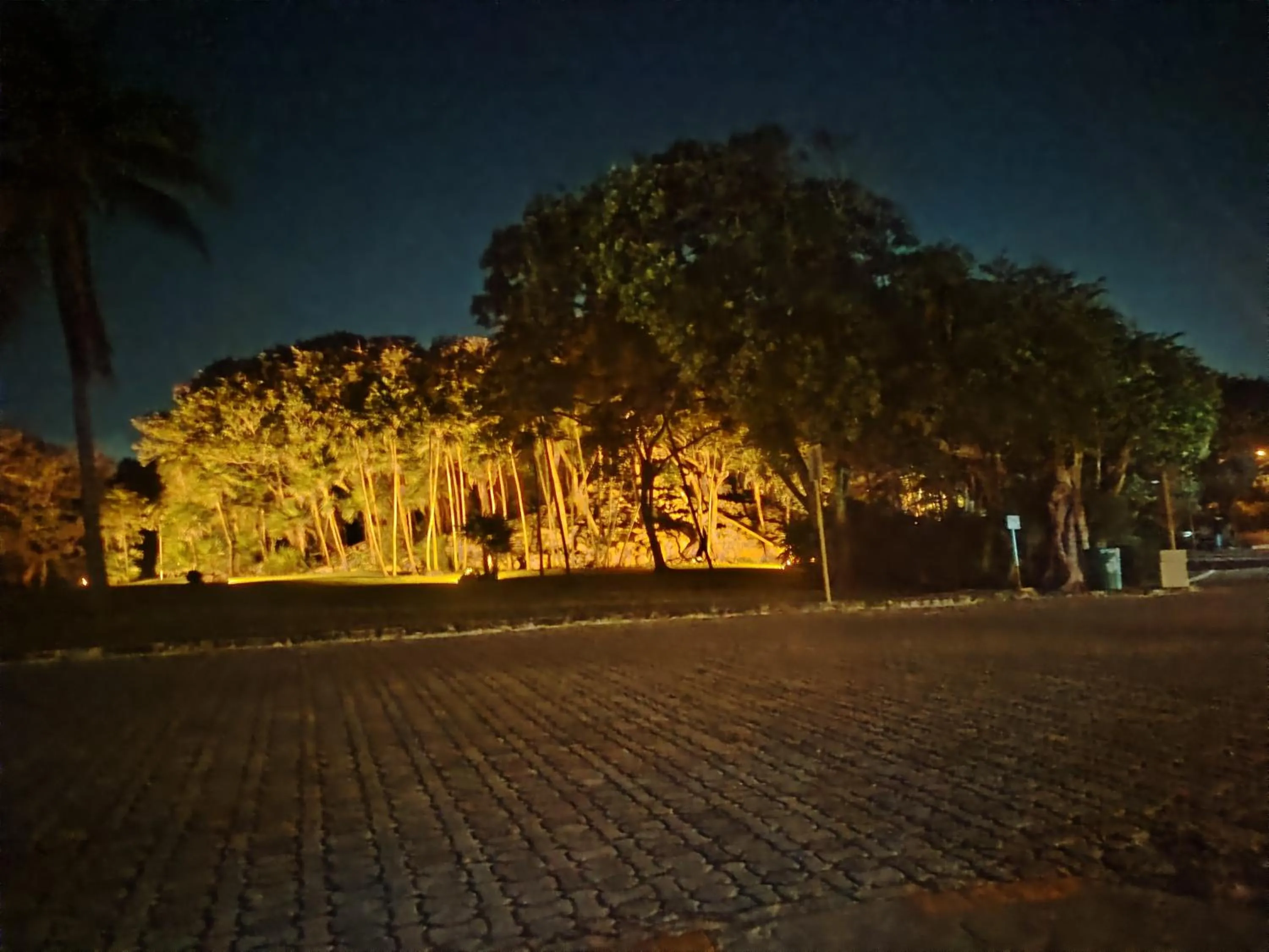 Night in SUNSET FISHERMEN BEACH & SPA RESORT-Optional All Inclusive- Room 344A-344B-Playacar, Phase 1