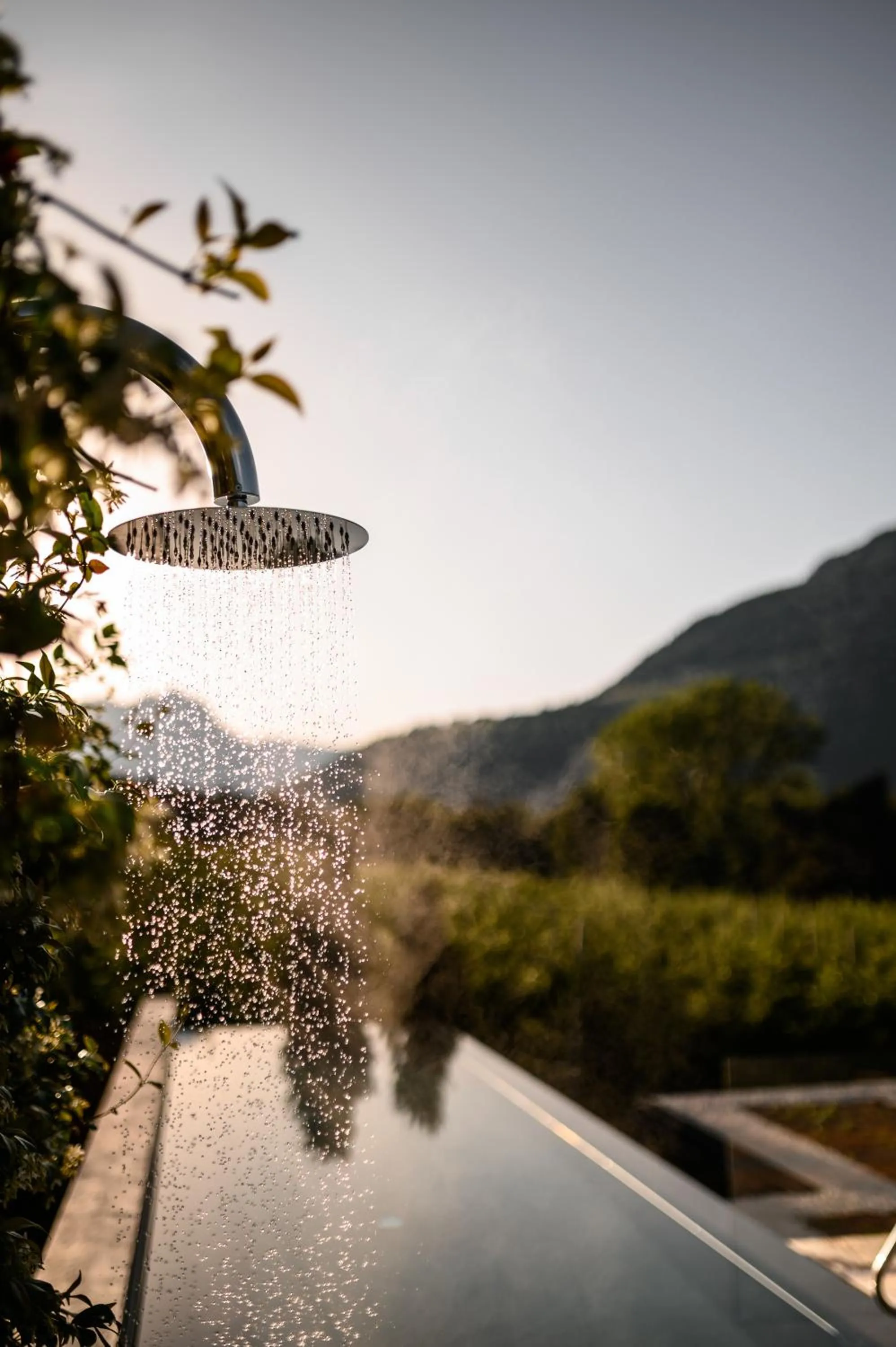 Swimming pool in Design Hotel Tyrol