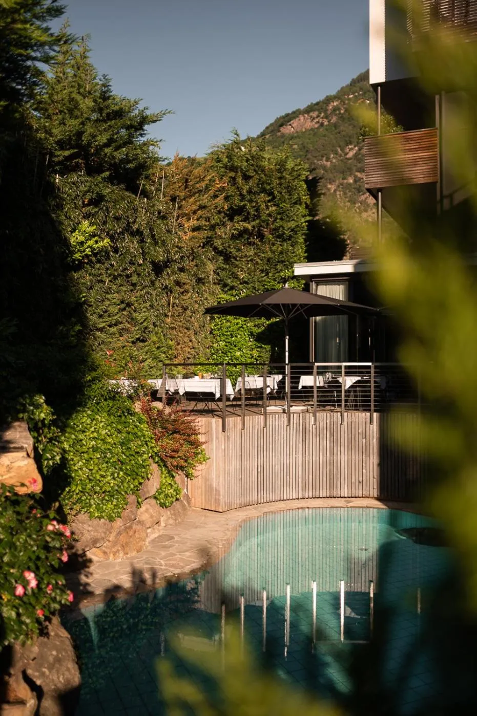 Swimming pool in Design Hotel Tyrol