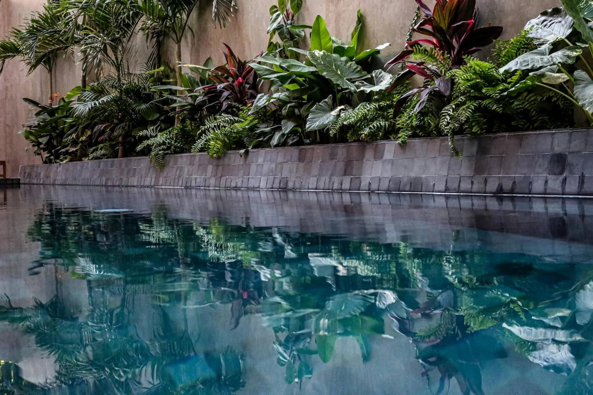 Pool view in Casa Toro La Punta